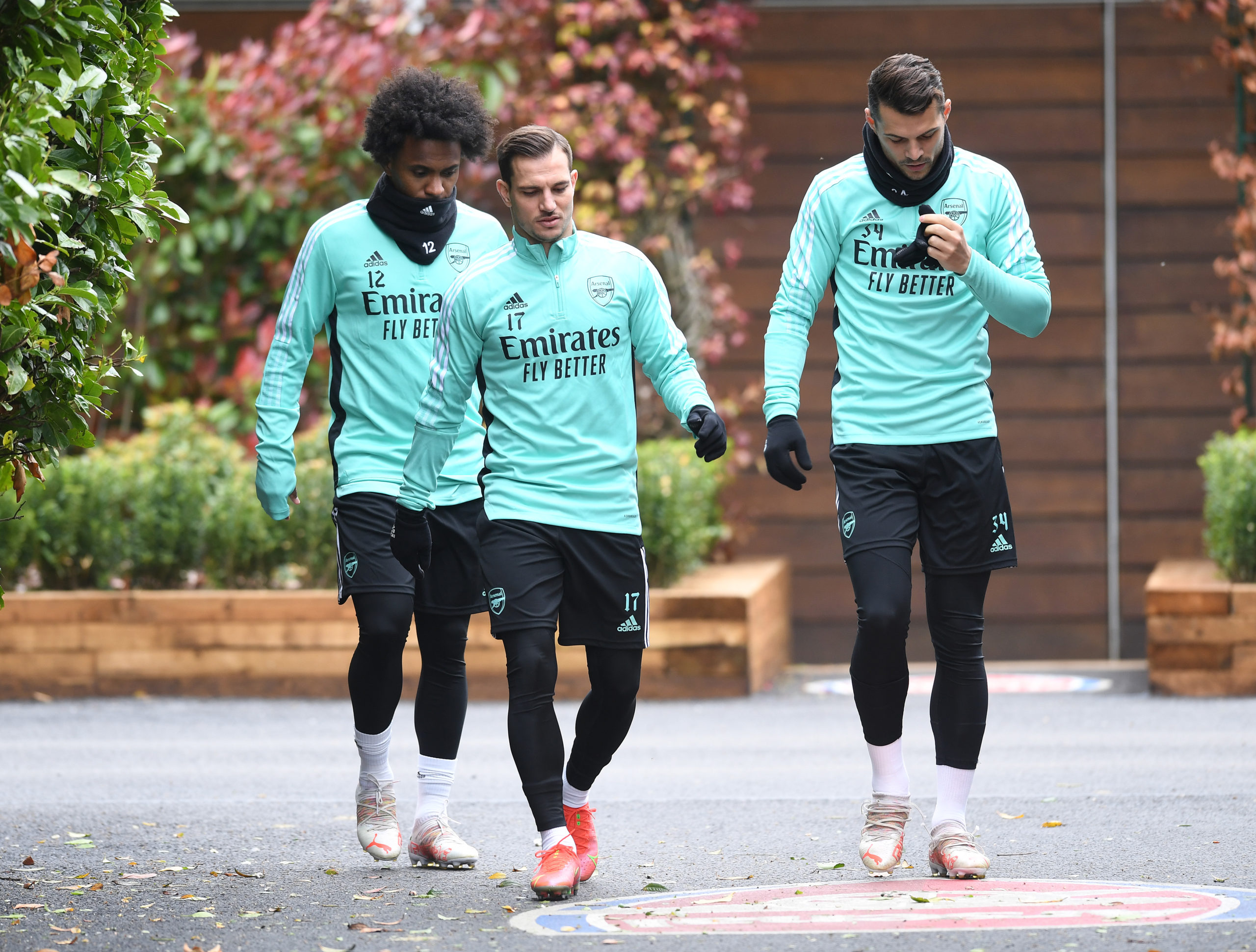 Photo by Stuart MacFarlane/Arsenal FC via Getty Images