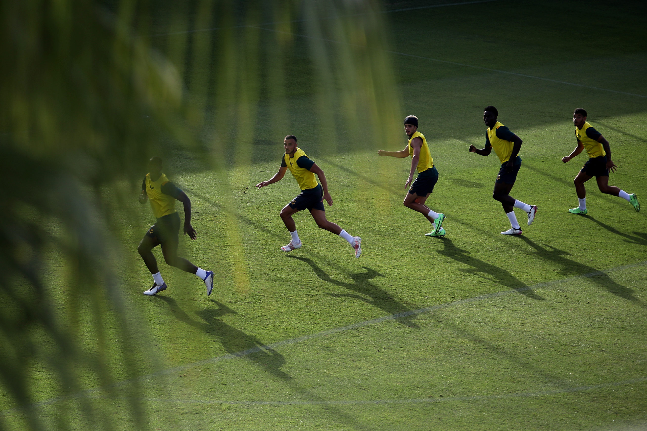 Photo by Jack Thomas - WWFC/Wolves via Getty Images