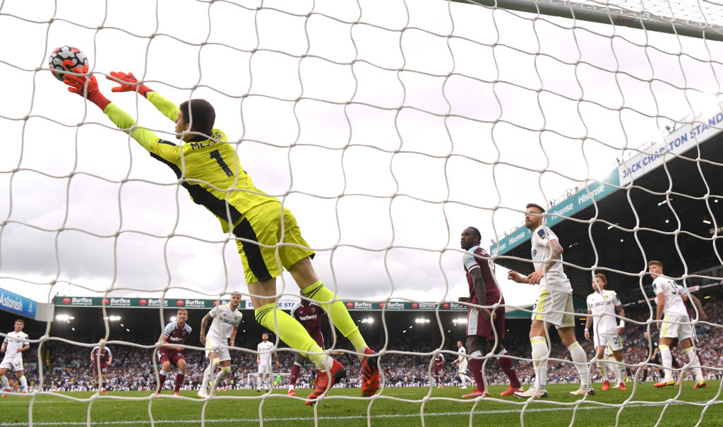 Photo by Stu Forster/Getty Images