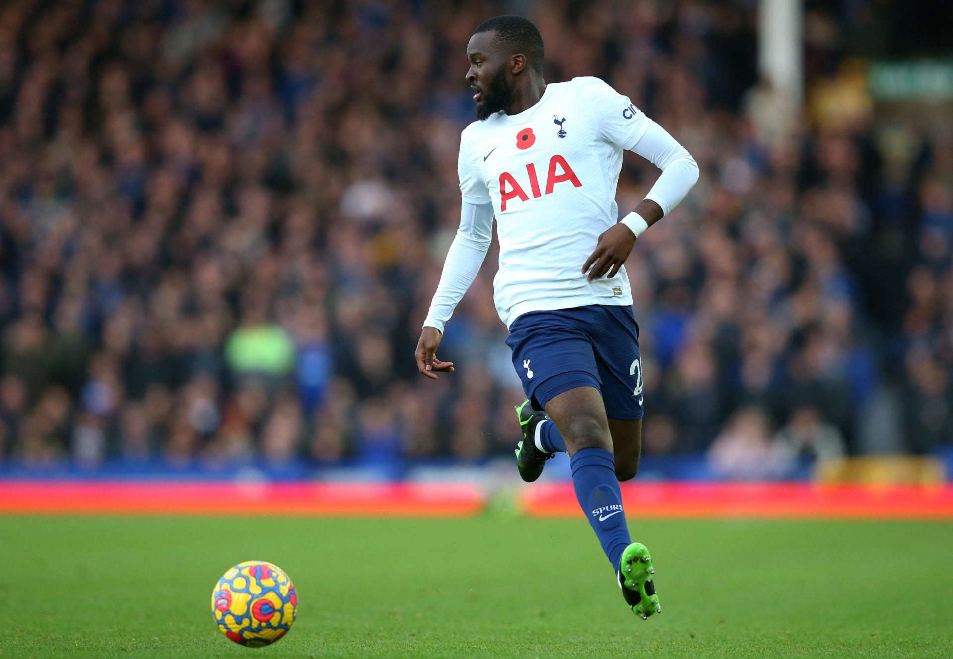 Photo by Tottenham Hotspur FC/Tottenham Hotspur FC via Getty Images