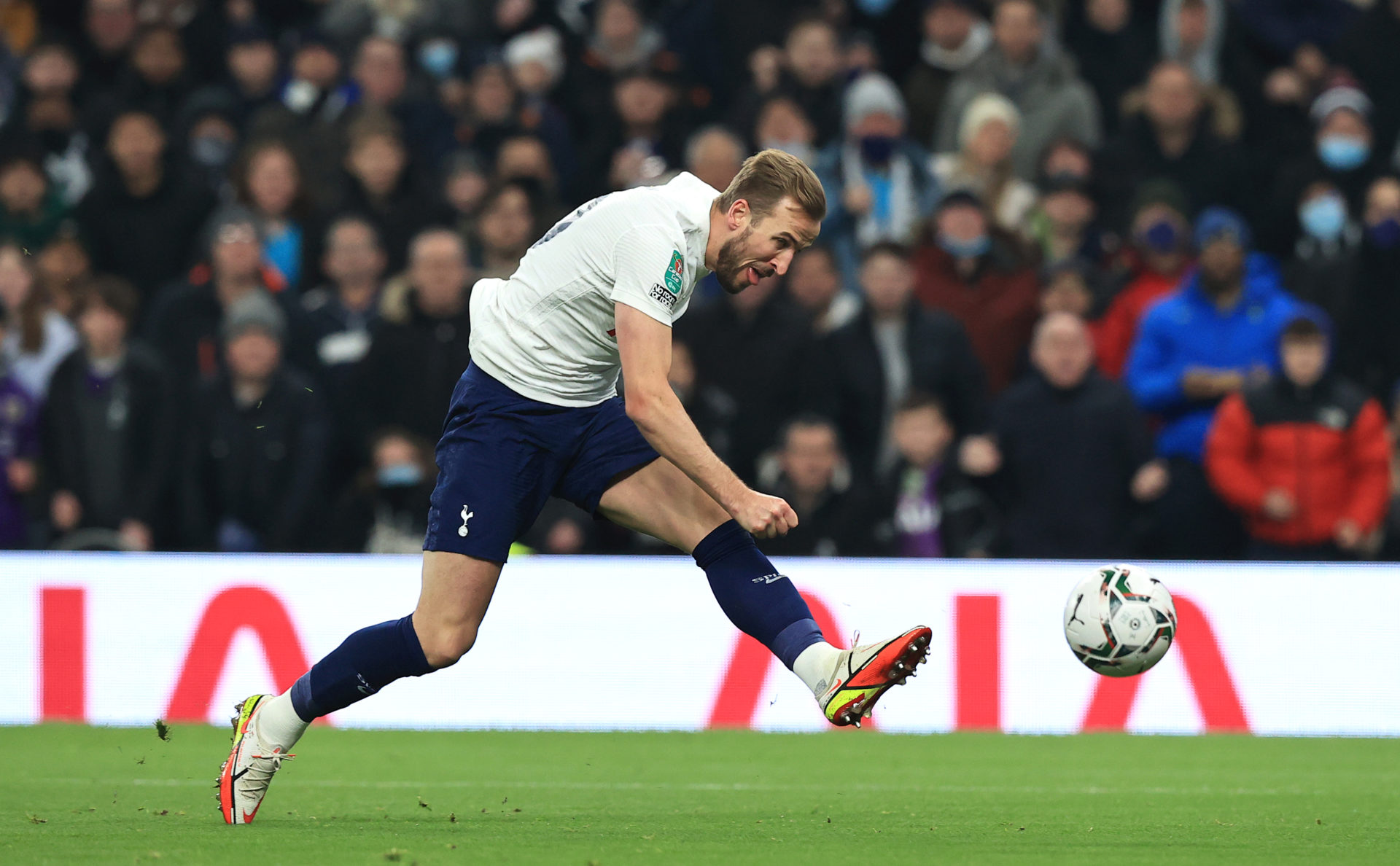 Photo by Tottenham Hotspur FC/Tottenham Hotspur FC via Getty Images