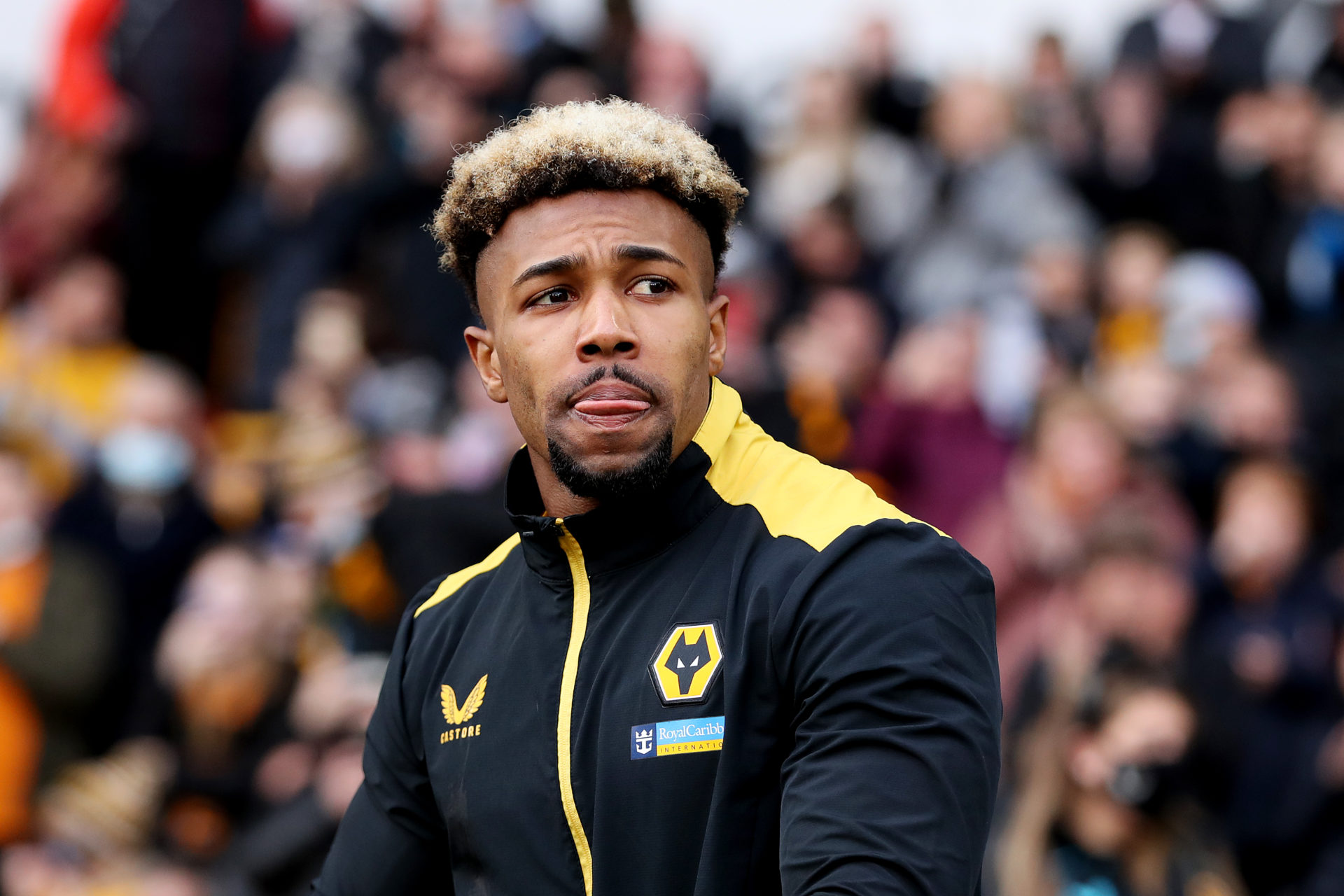 Photo by Jack Thomas - WWFC/Wolves via Getty Images