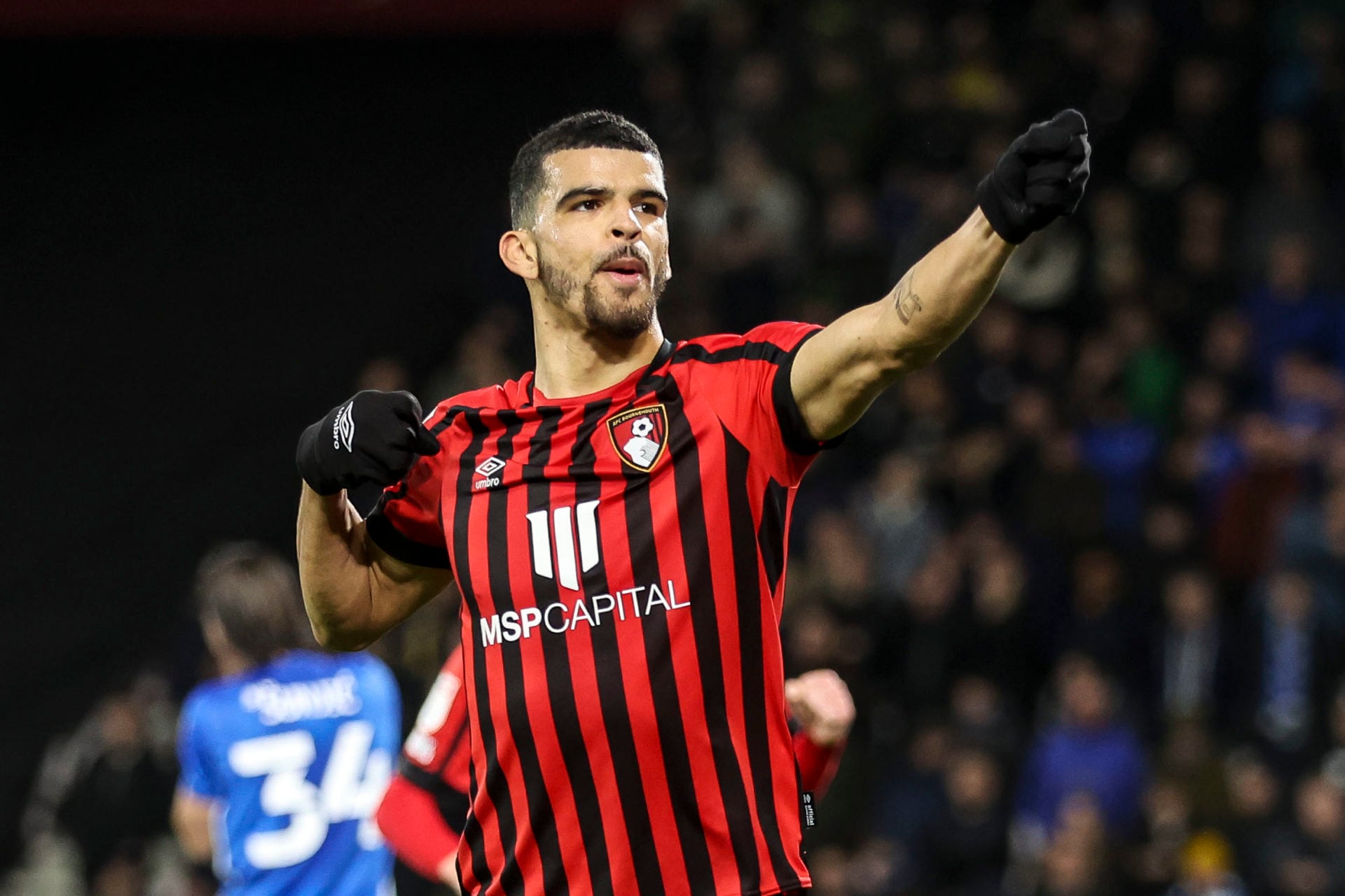 Photo by Robin Jones - AFC Bournemouth/AFC Bournemouth via Getty Images