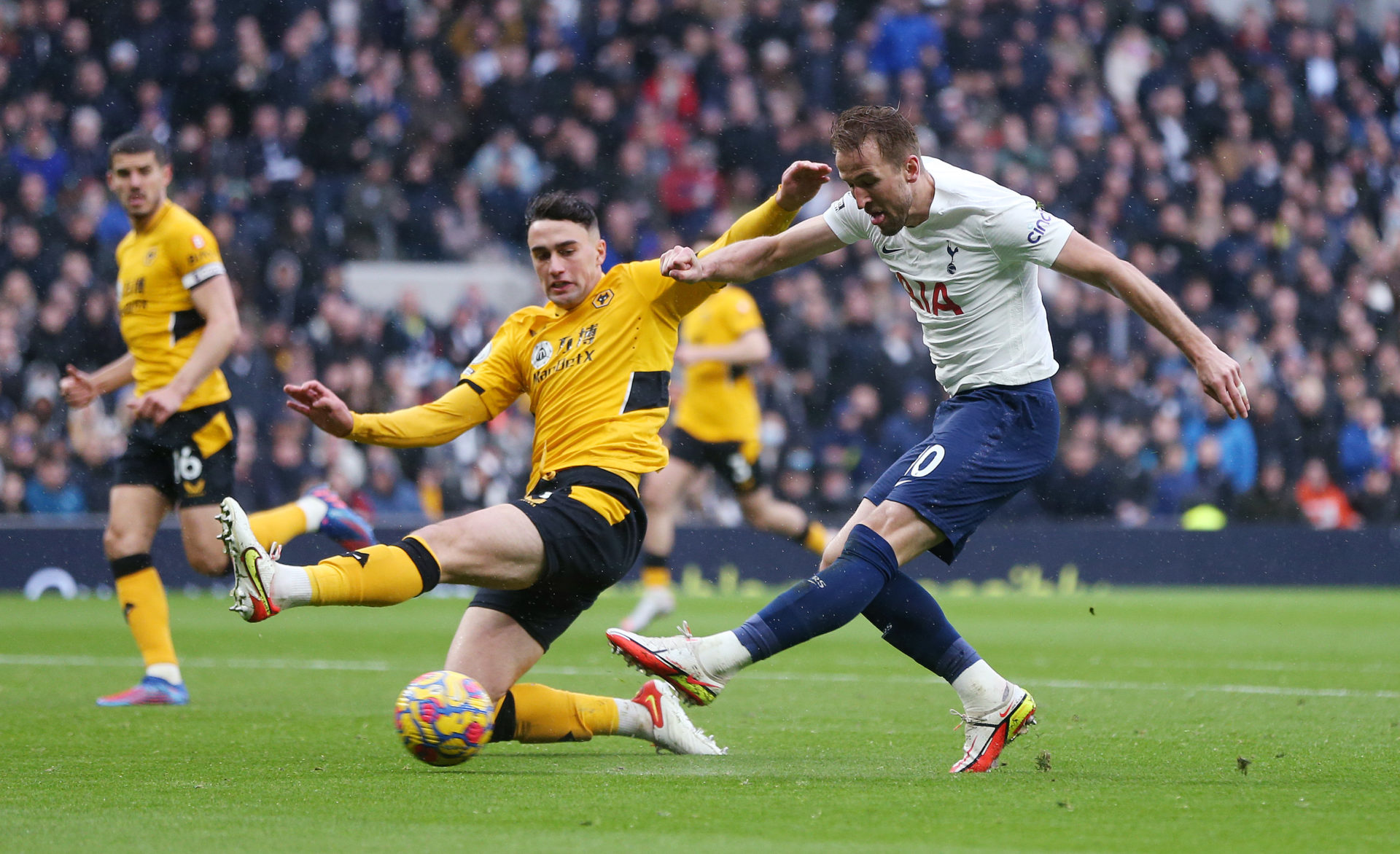 Photo by Tottenham Hotspur FC/Tottenham Hotspur FC via Getty Images