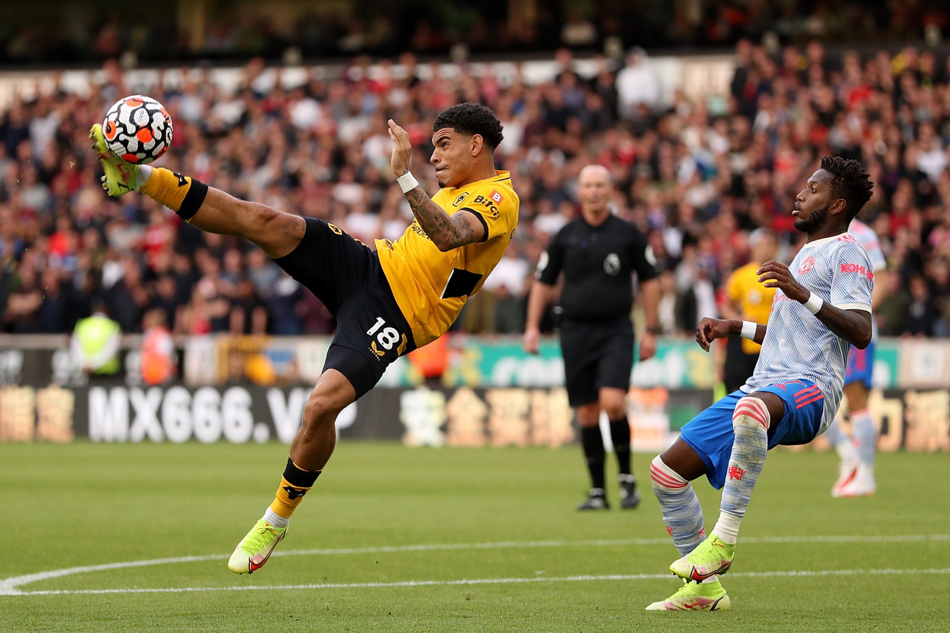 Photo by Jack Thomas - WWFC/Wolves via Getty Images