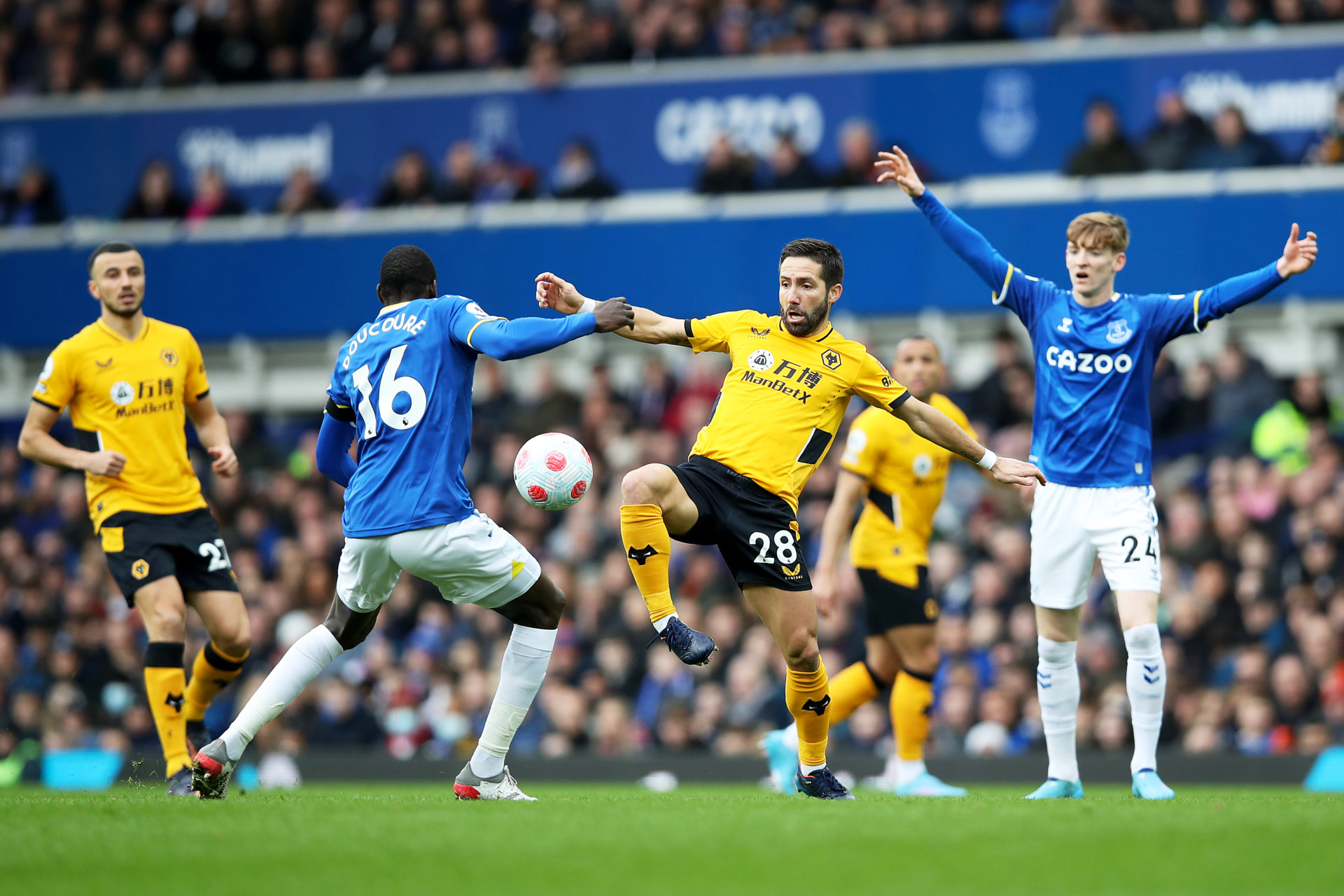 Photo by Jack Thomas - WWFC/Wolves via Getty Images