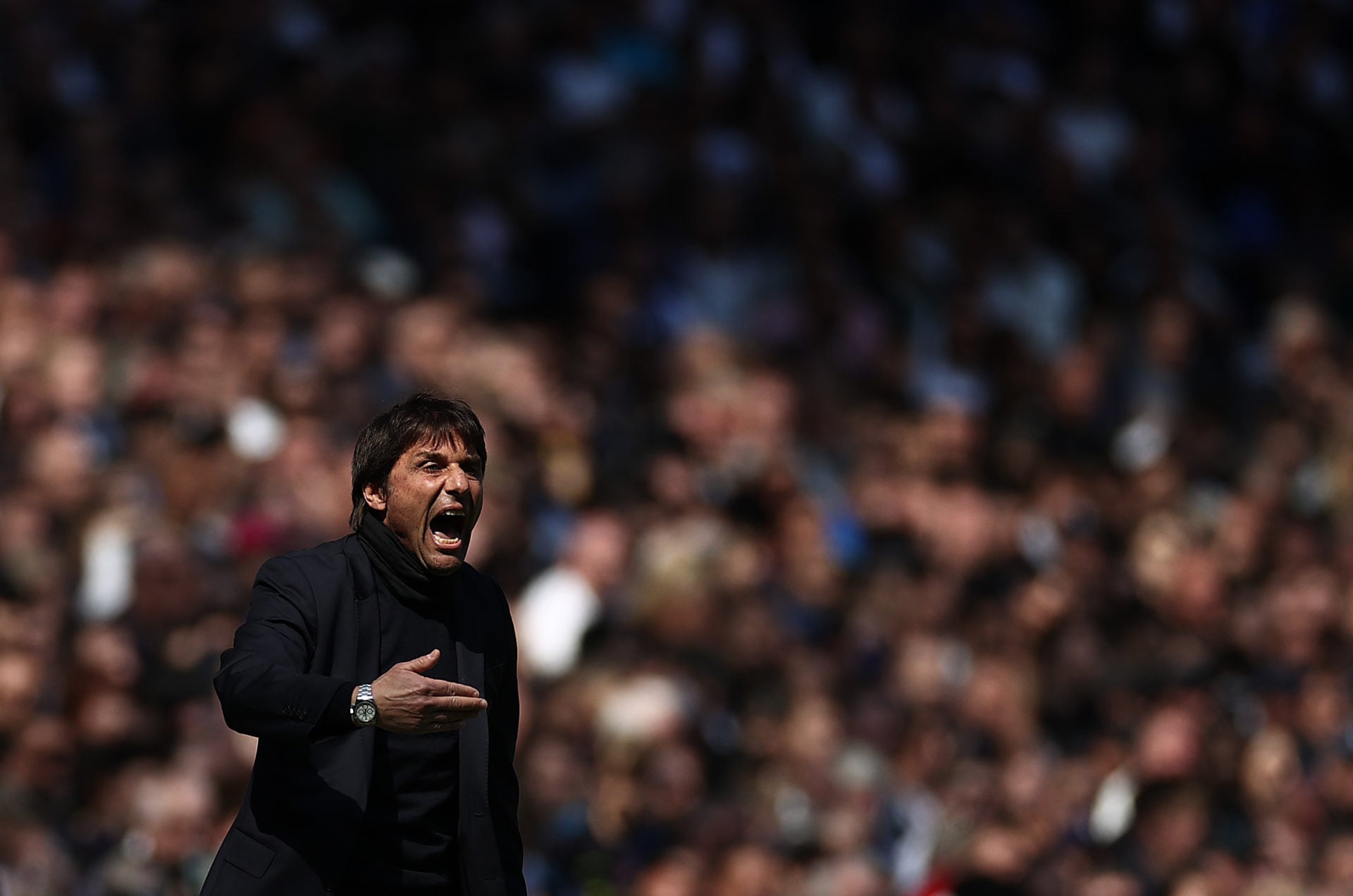 Photo by Ryan Pierse/Getty Images