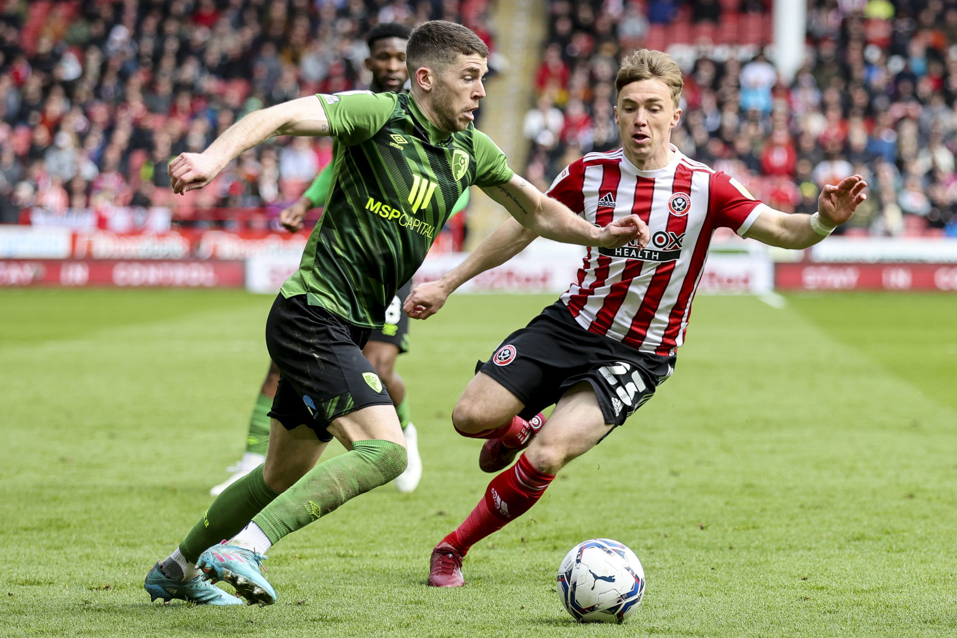 Photo by Robin Jones - AFC Bournemouth/AFC Bournemouth via Getty Images