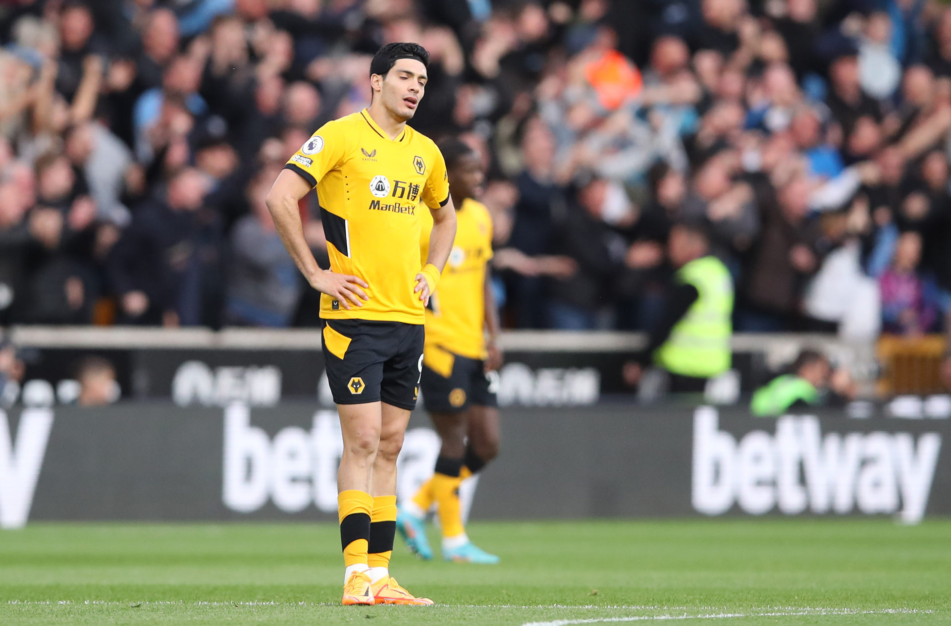 Photo by Jack Thomas - WWFC/Wolves via Getty Images