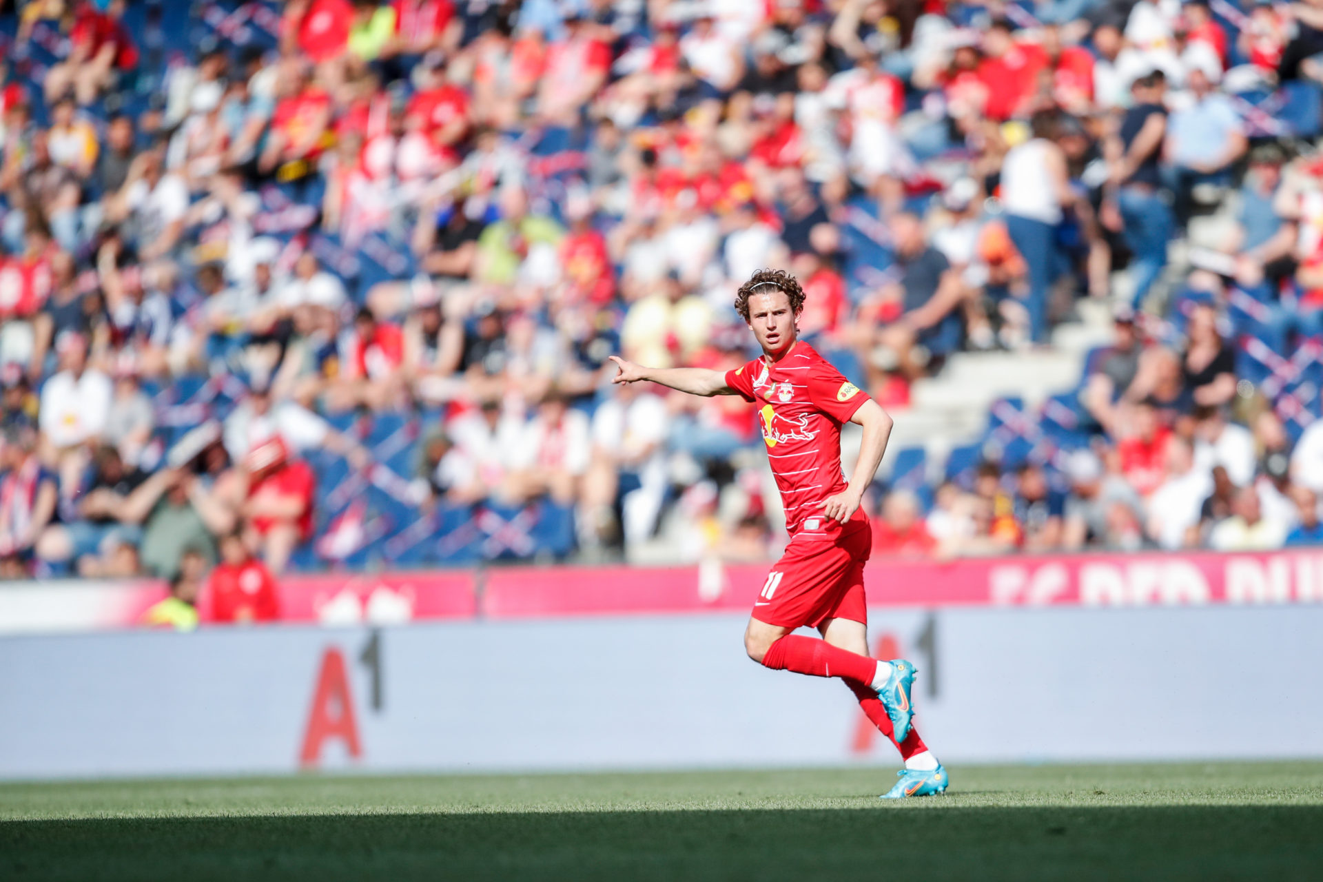 Photo by Jasmin Walter - FC Red Bull Salzburg/FC Red Bull Salzburg via Getty Images