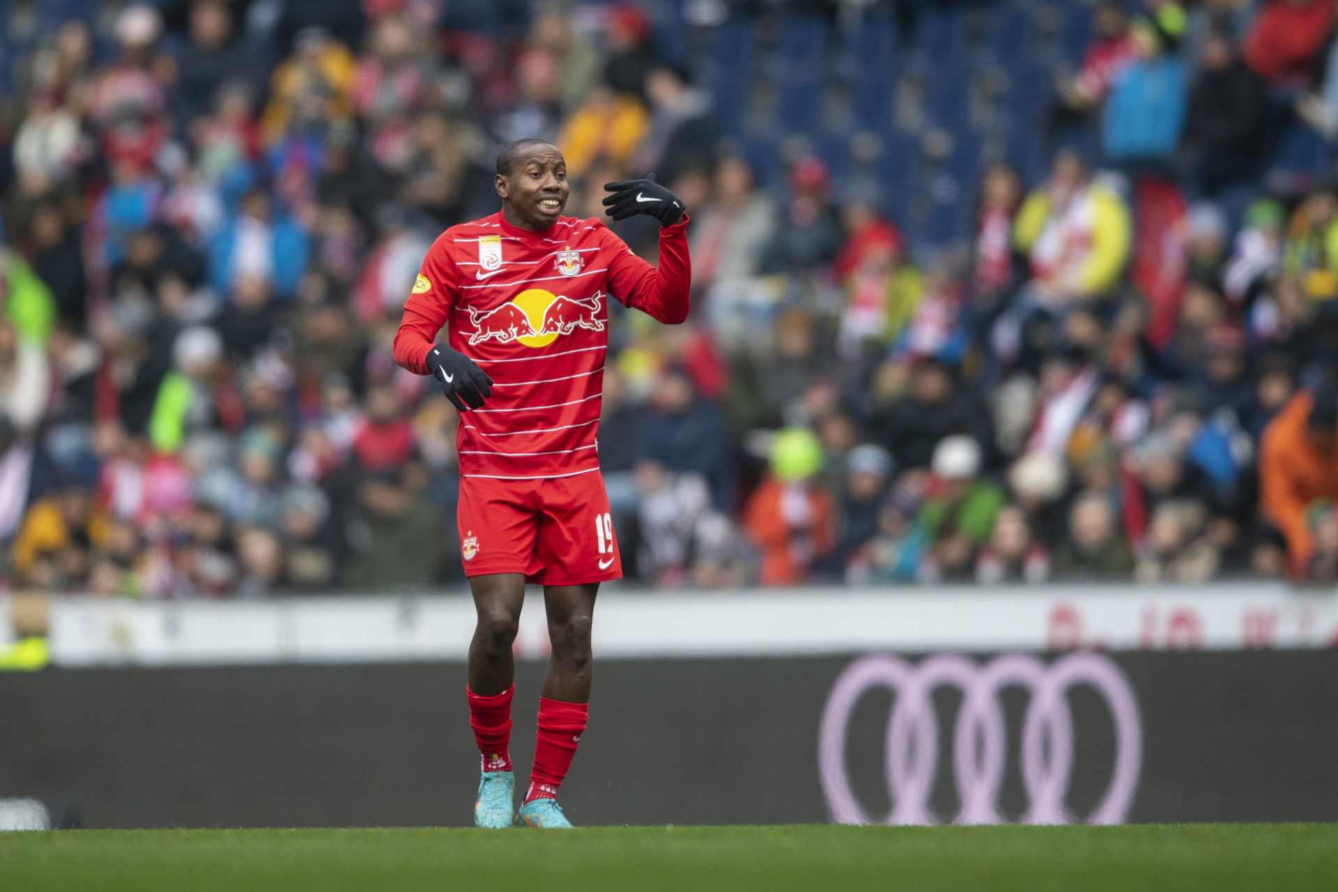 Photo by Andreas Schaad - FC Red Bull Salzburg/FC Red Bull Salzburg via Getty Images