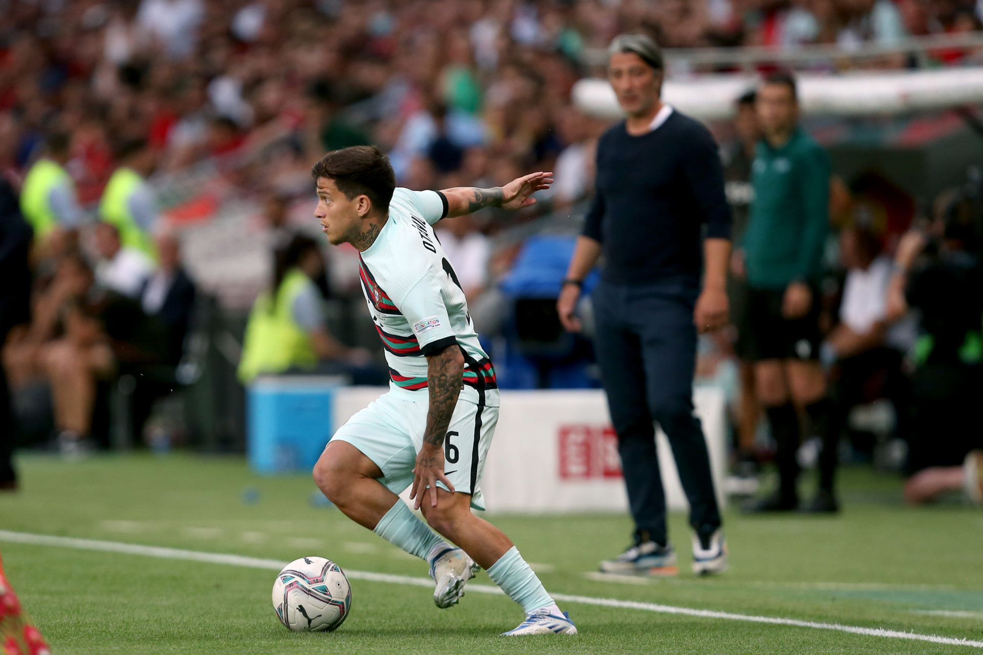 Photo by Harry Langer/DeFodi Images via Getty Images