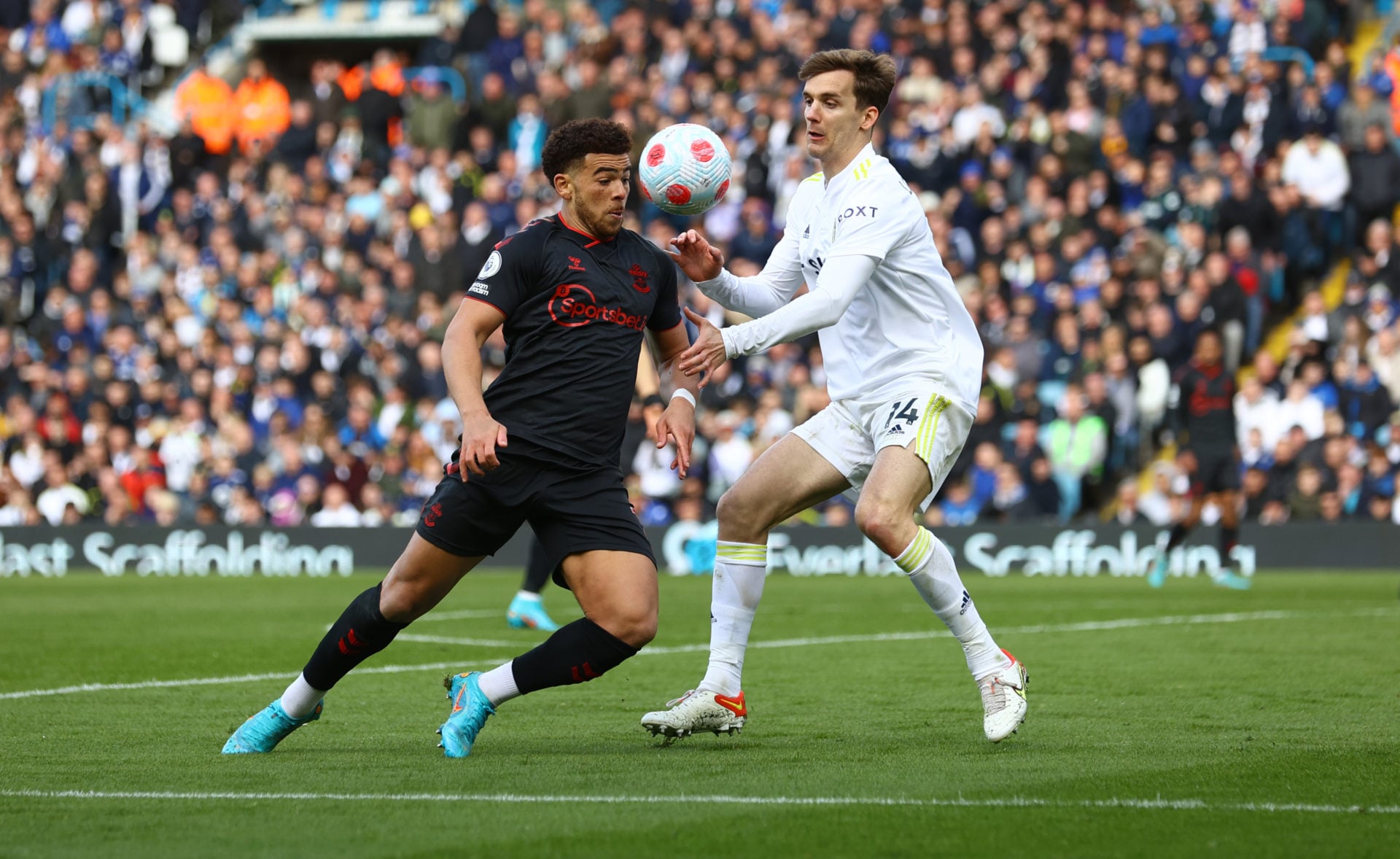 Photo by Matt Watson/Southampton FC via Getty Images