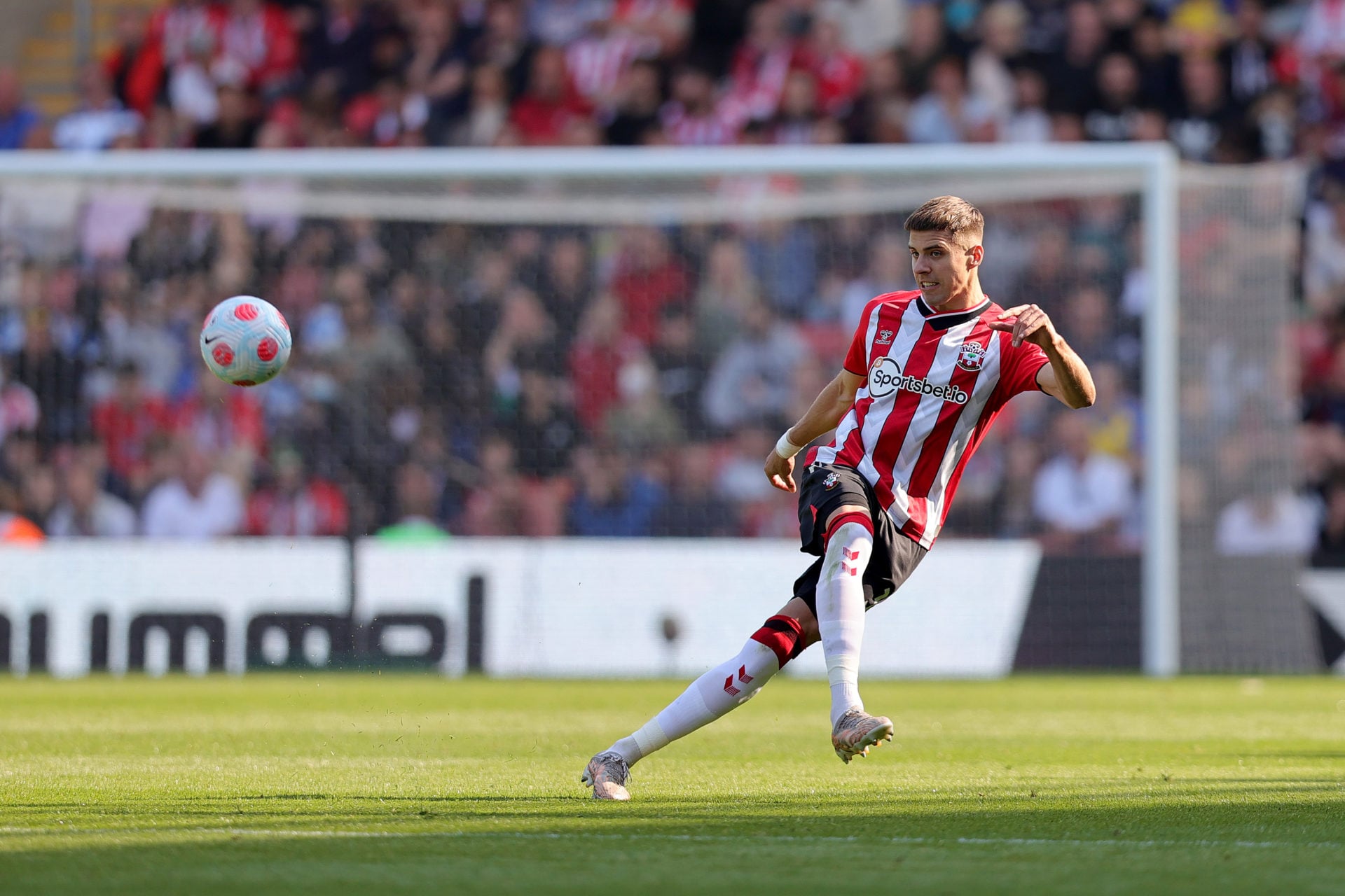 Photo by Isabelle Field/Southampton FC via Getty Images