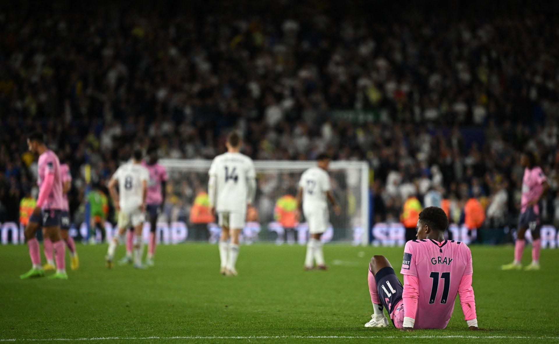 Photo by OLI SCARFF/AFP via Getty Images