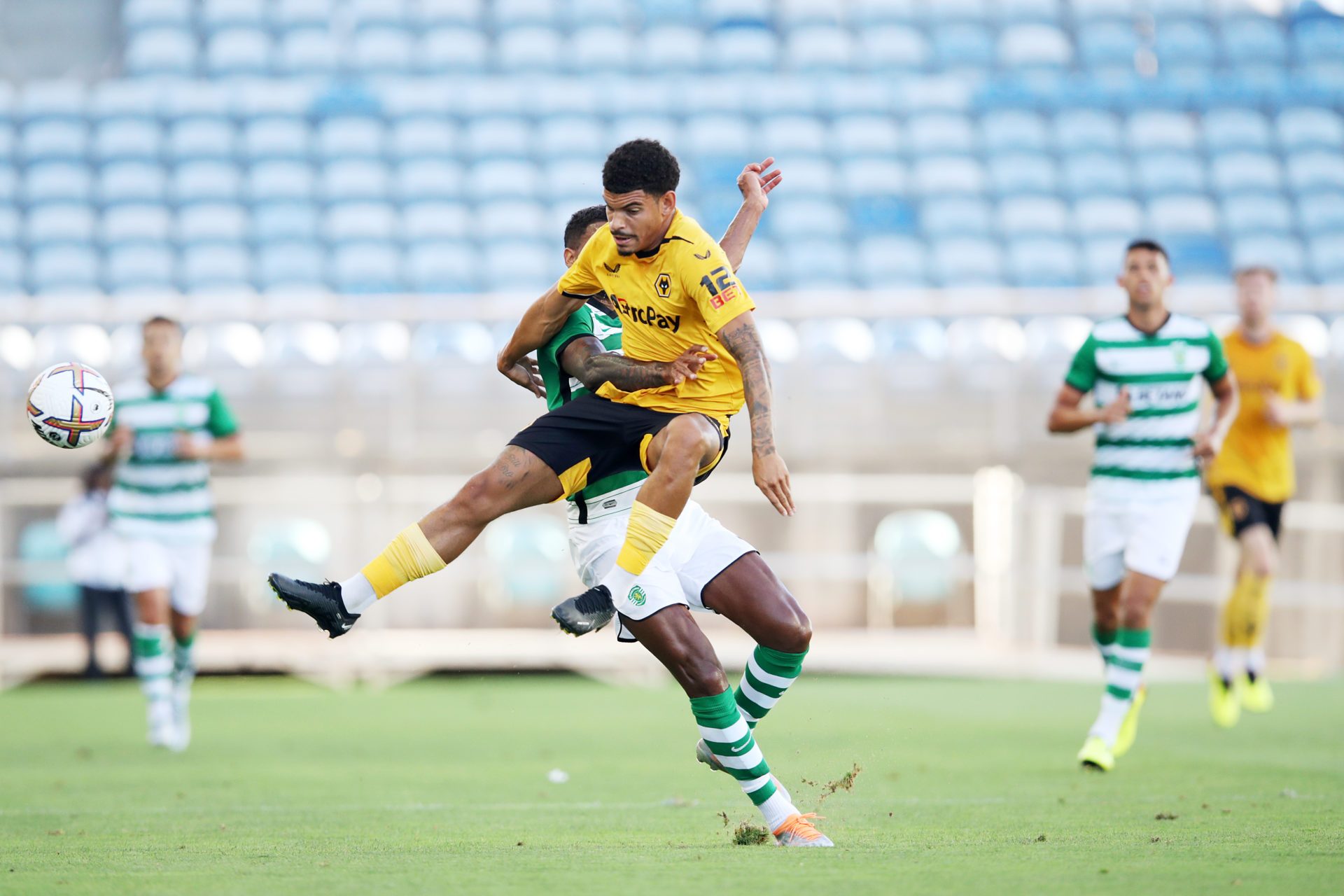 Photo by Jack Thomas - WWFC/Wolves via Getty Images
