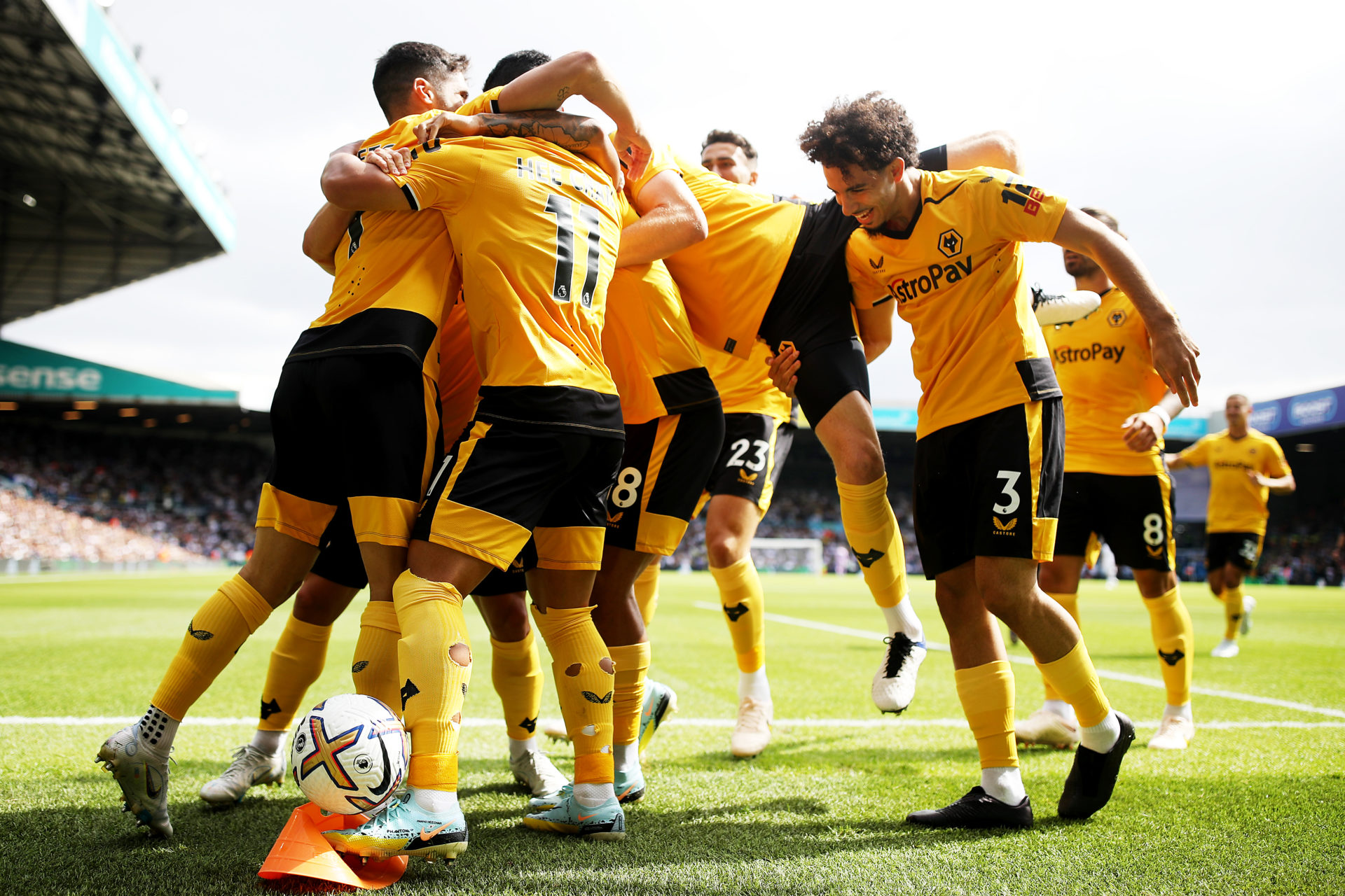 Photo by Jack Thomas - WWFC/Wolves via Getty Images