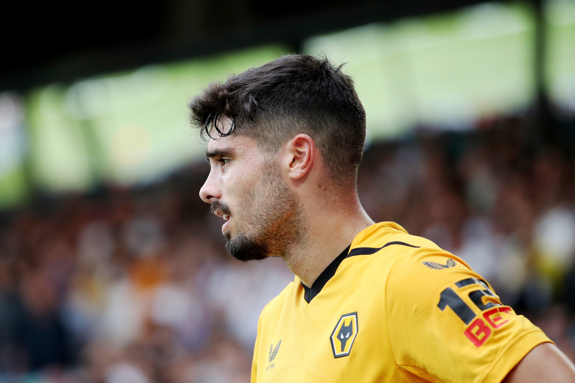Photo by Jack Thomas - WWFC/Wolves via Getty Images