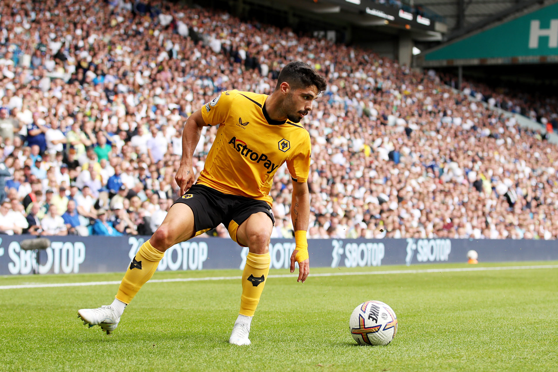 Photo by Jack Thomas - WWFC/Wolves via Getty Images