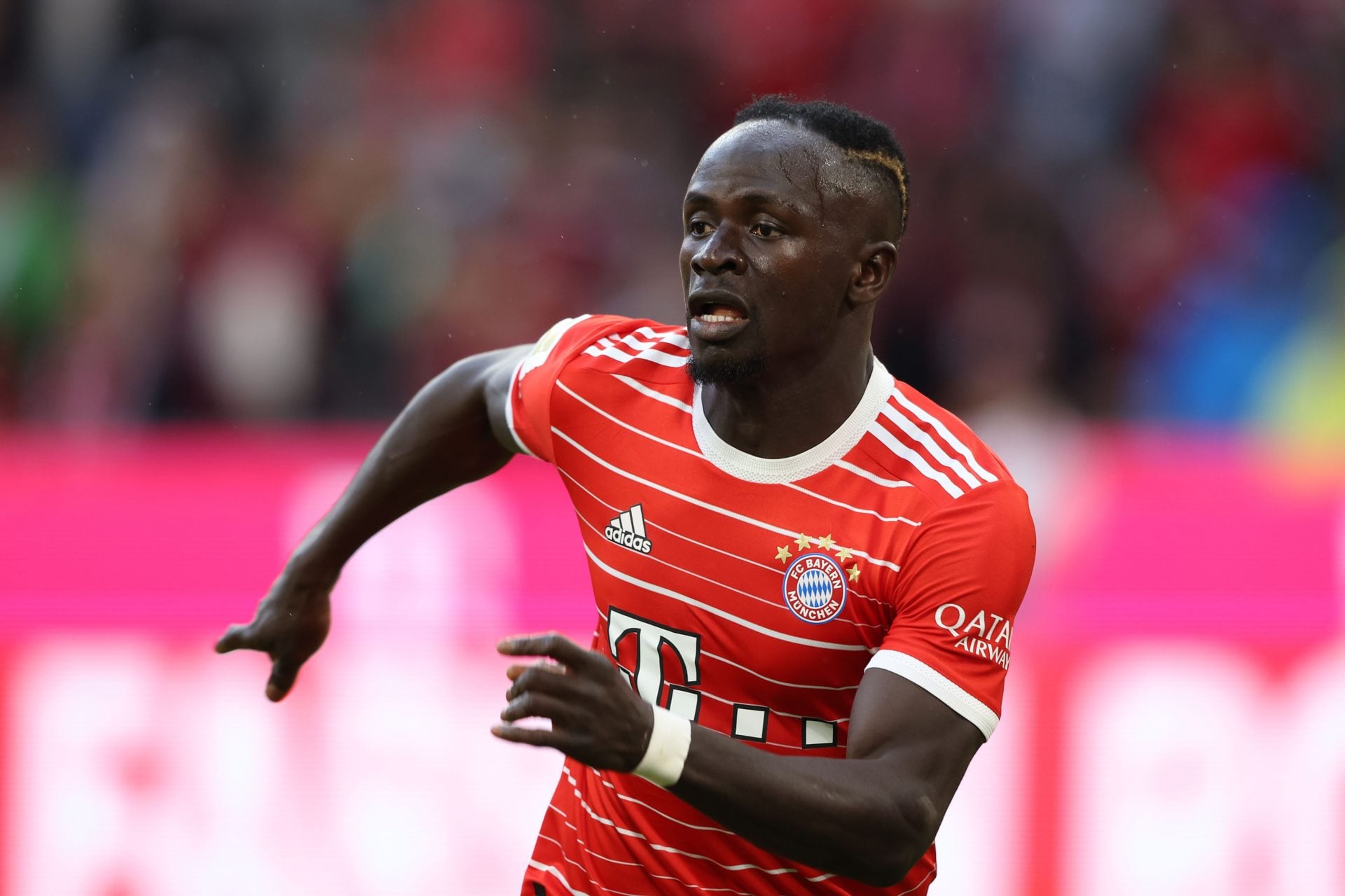 Photo by Alexander Hassenstein/Getty Images