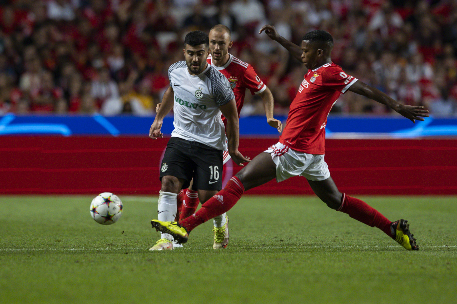 Photo by Carlos Rodrigues/Getty Images