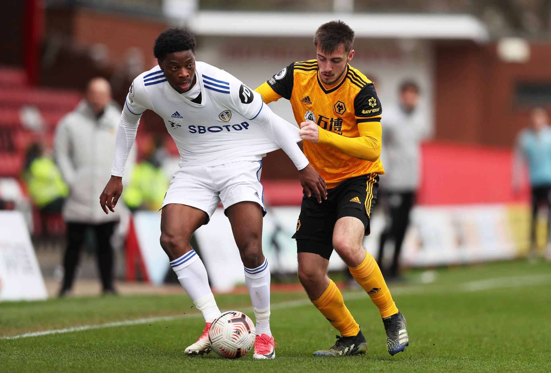 Photo by Jack Thomas - WWFC/Wolves via Getty Images