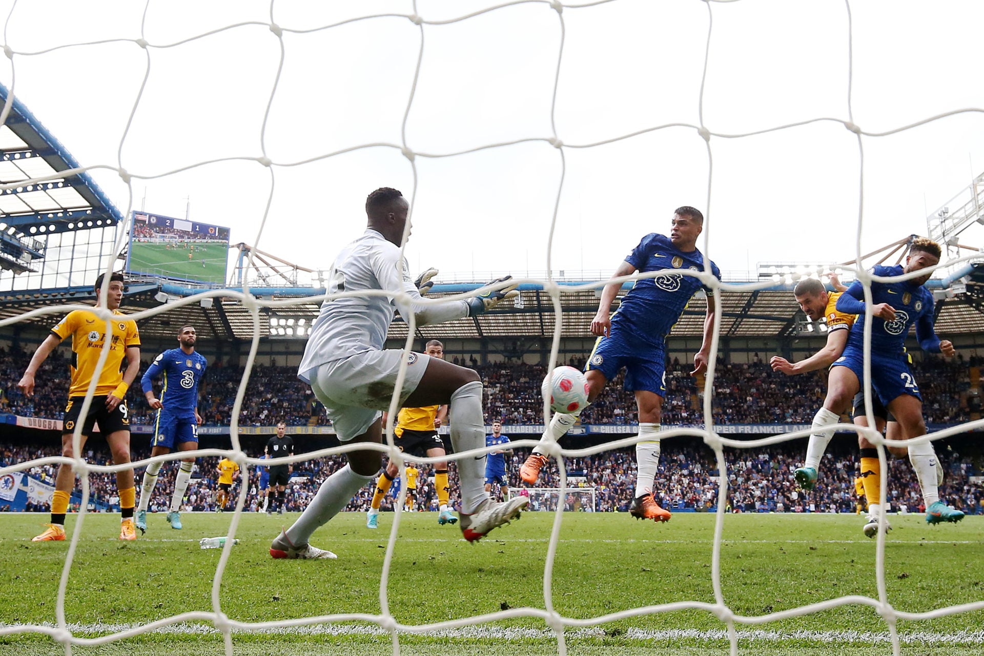 Photo by Jack Thomas - WWFC/Wolves via Getty Images