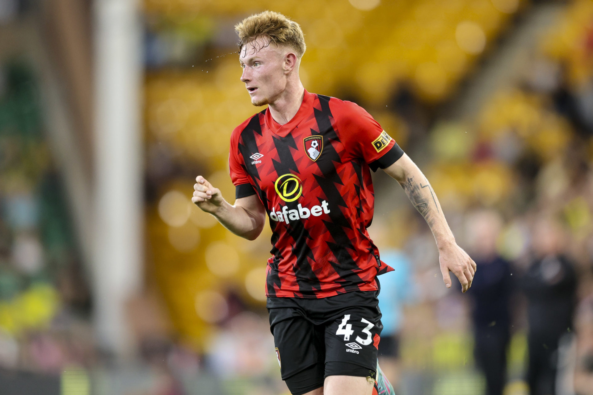 Photo by Robin Jones - AFC Bournemouth/AFC Bournemouth via Getty Images