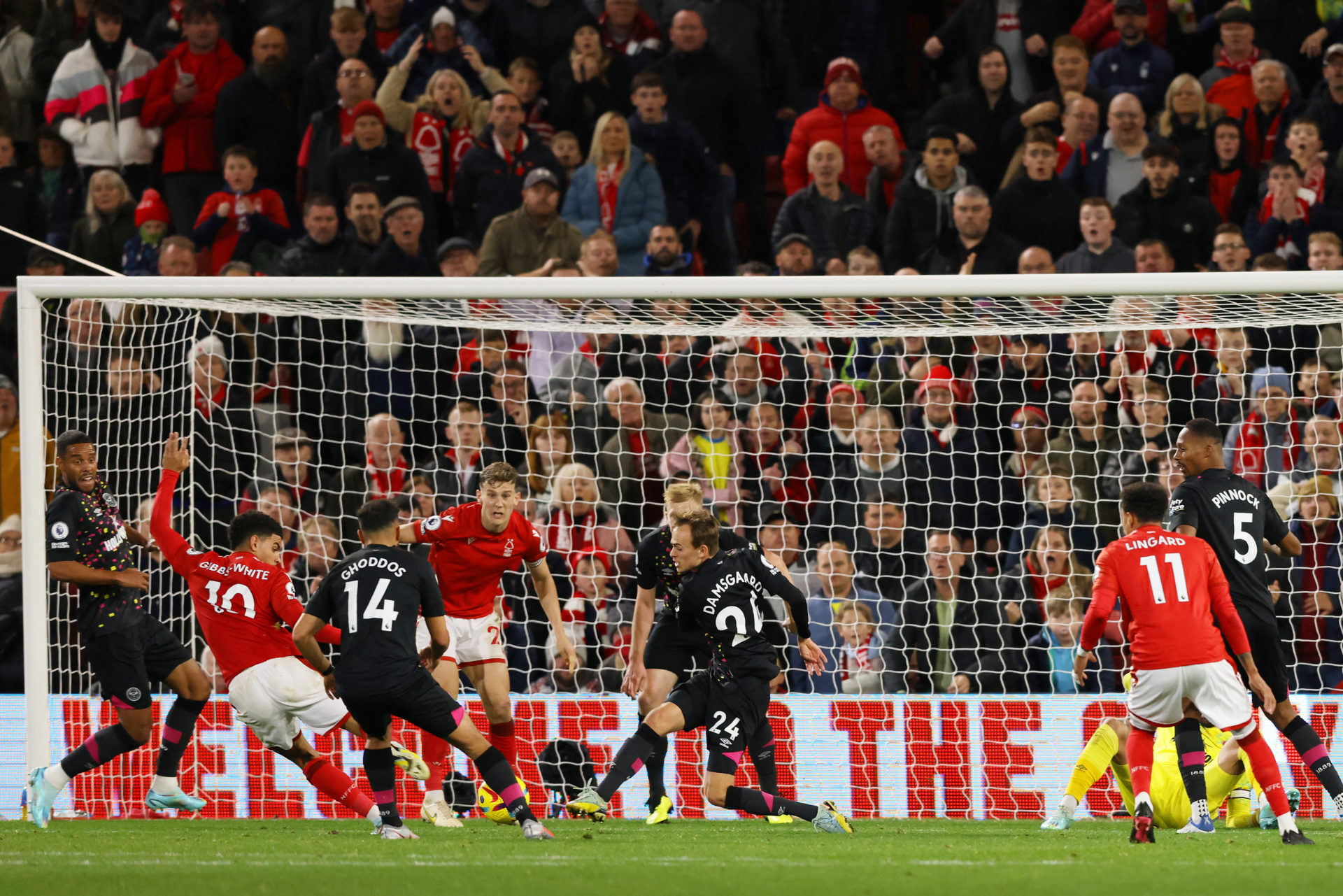 Photo by Paul Harding/Getty Images