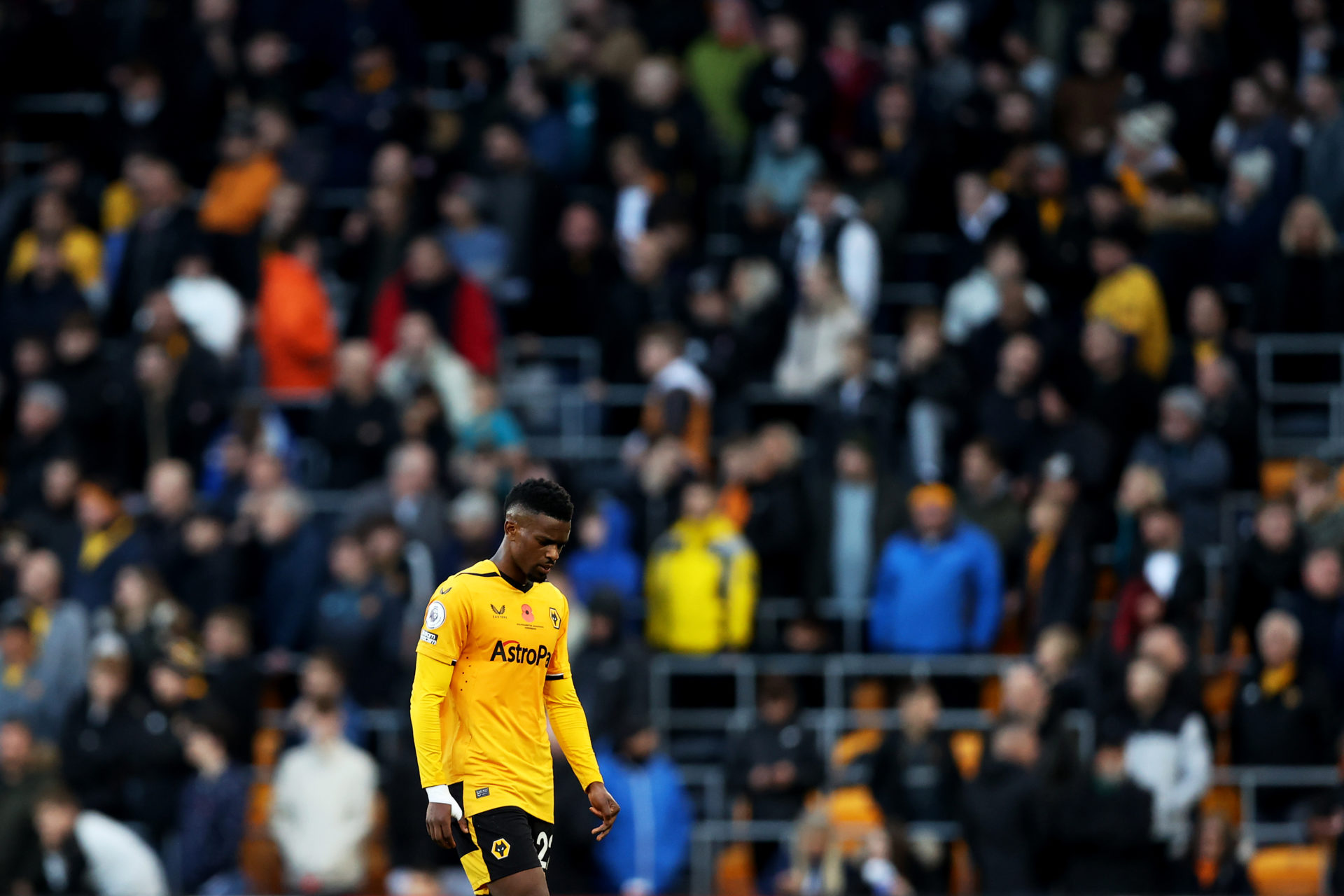 Photo by Jack Thomas - WWFC/Wolves via Getty Images