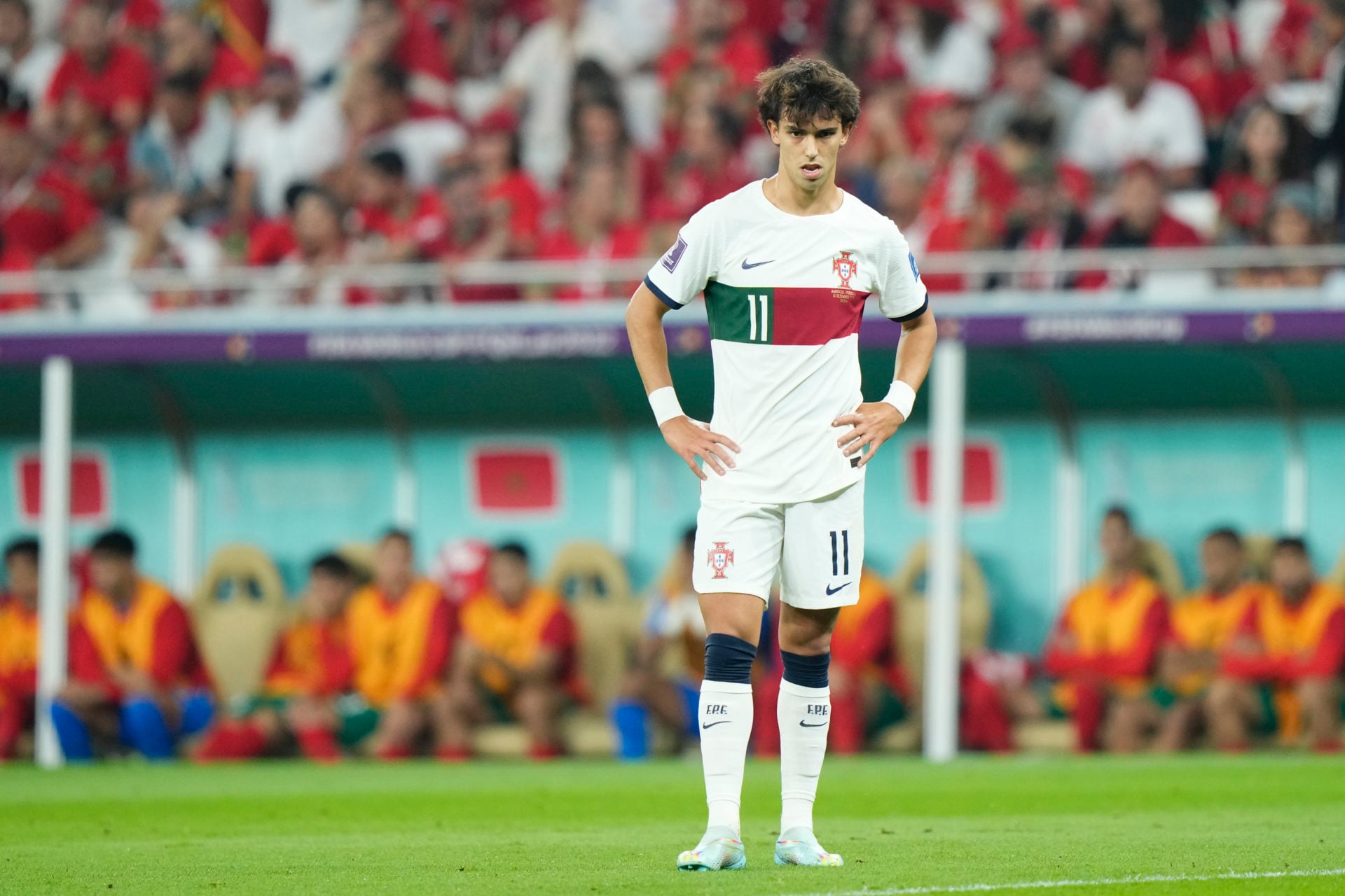 Photo by Jose Breton/Pics Action/NurPhoto via Getty Images