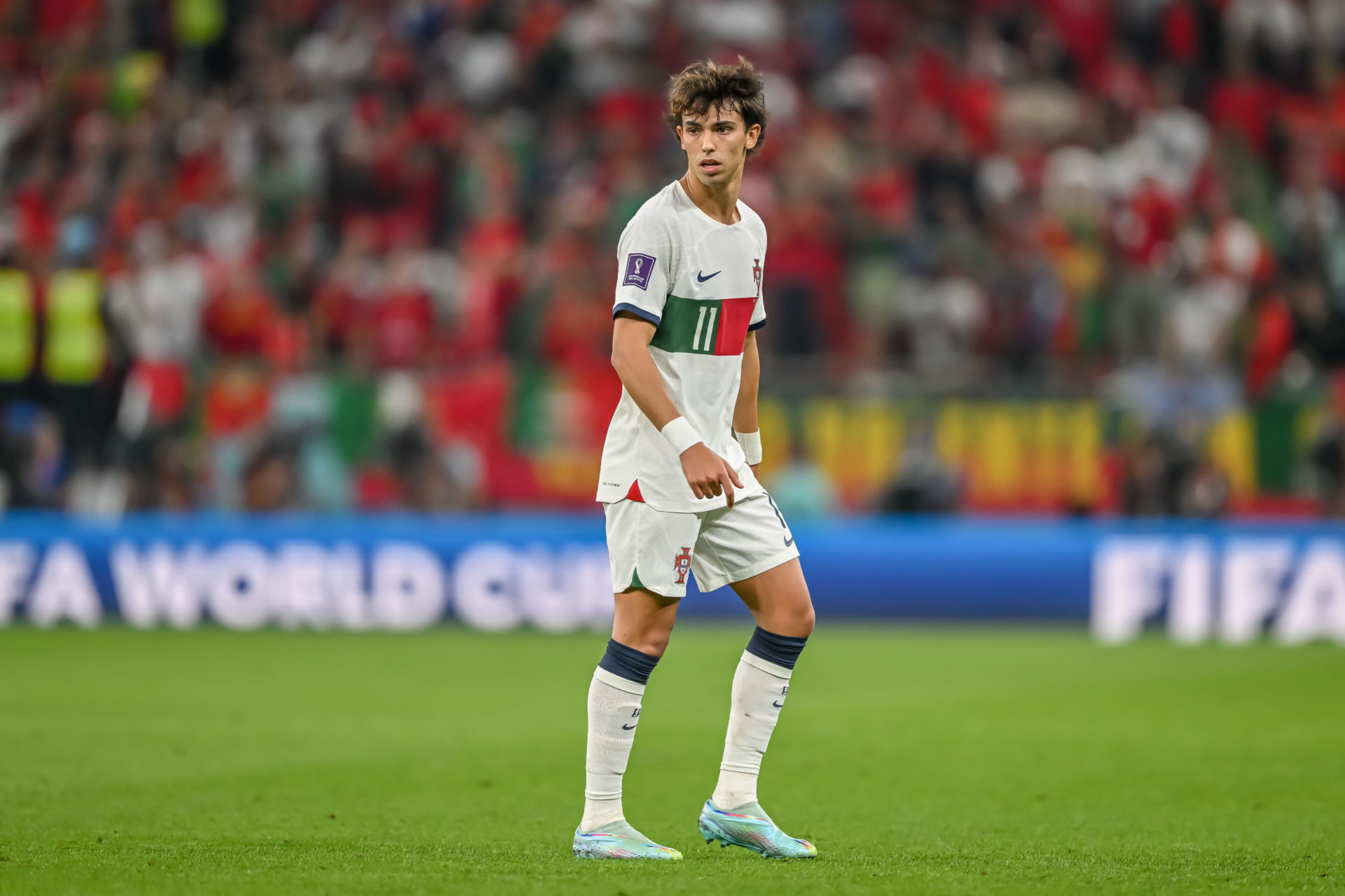 Photo by Harry Langer/DeFodi Images via Getty Images