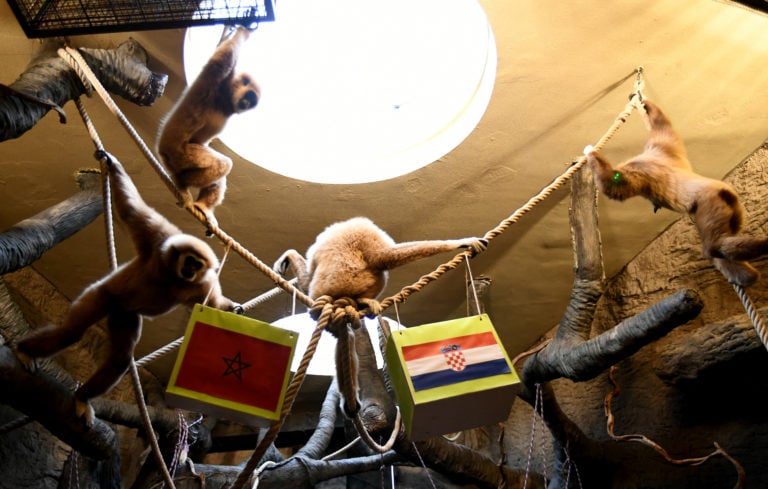 Photo by DENIS LOVROVIC/AFP via Getty Images