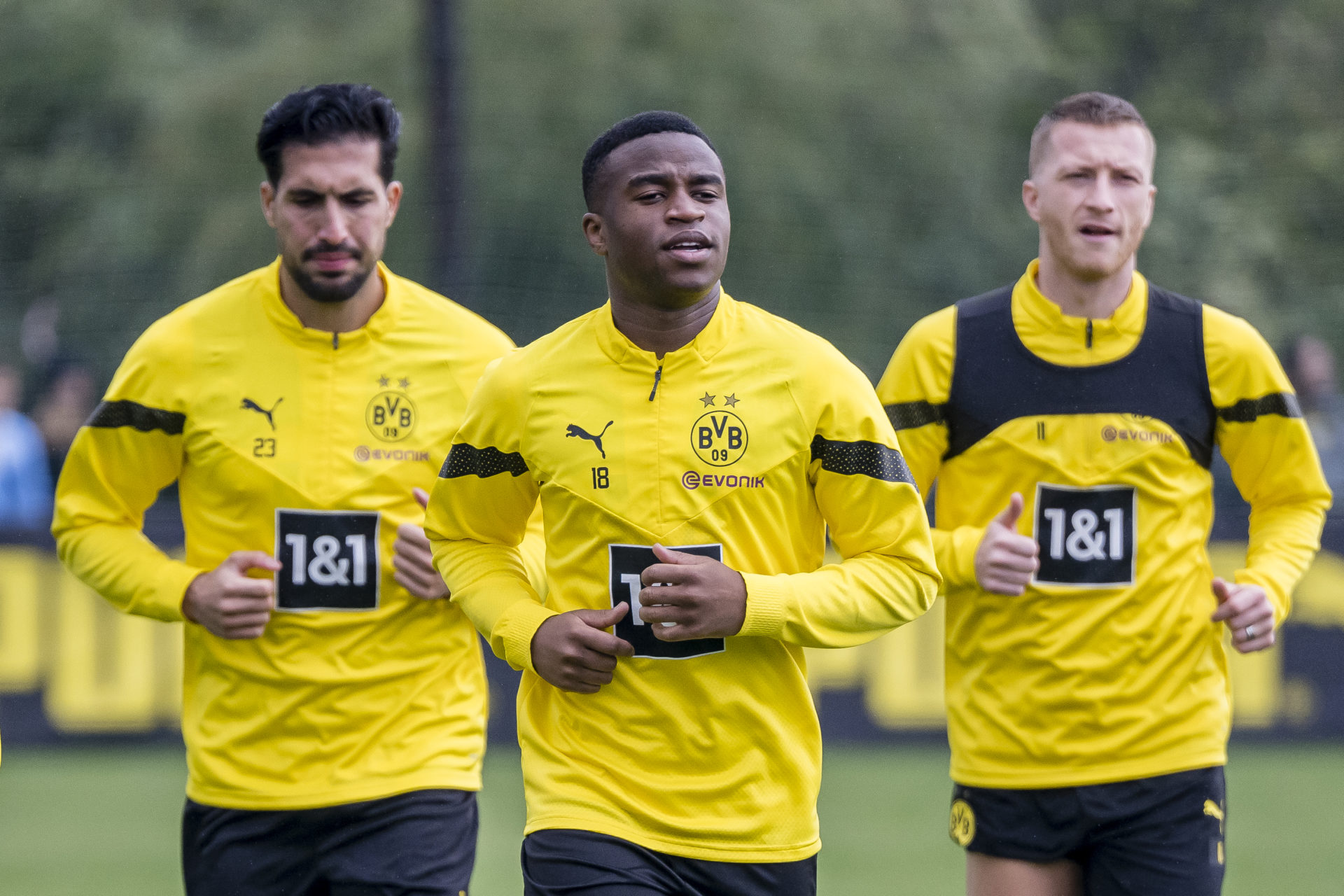 Photo by Marco Donato/Borussia Dortmund via Getty Images