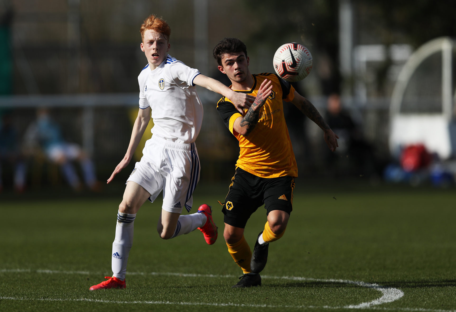 Photo by Jack Thomas - WWFC/Wolves via Getty Images