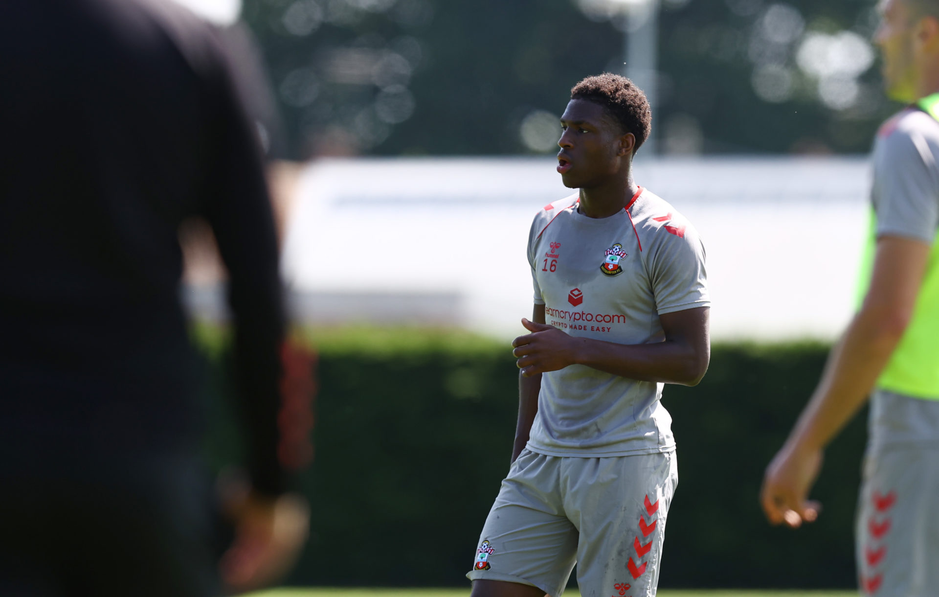Photo by Matt Watson/Southampton FC via Getty Images