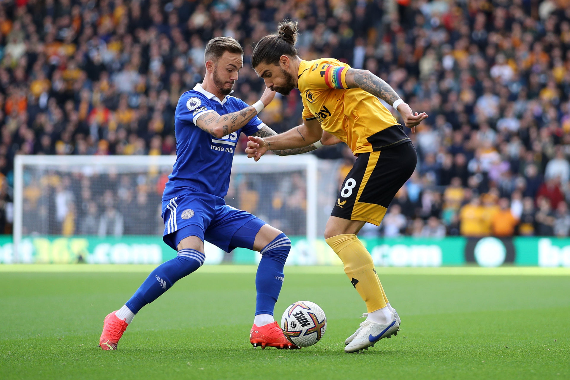 Photo by Jack Thomas - WWFC/Wolverhampton Wanderers FC via Getty Images