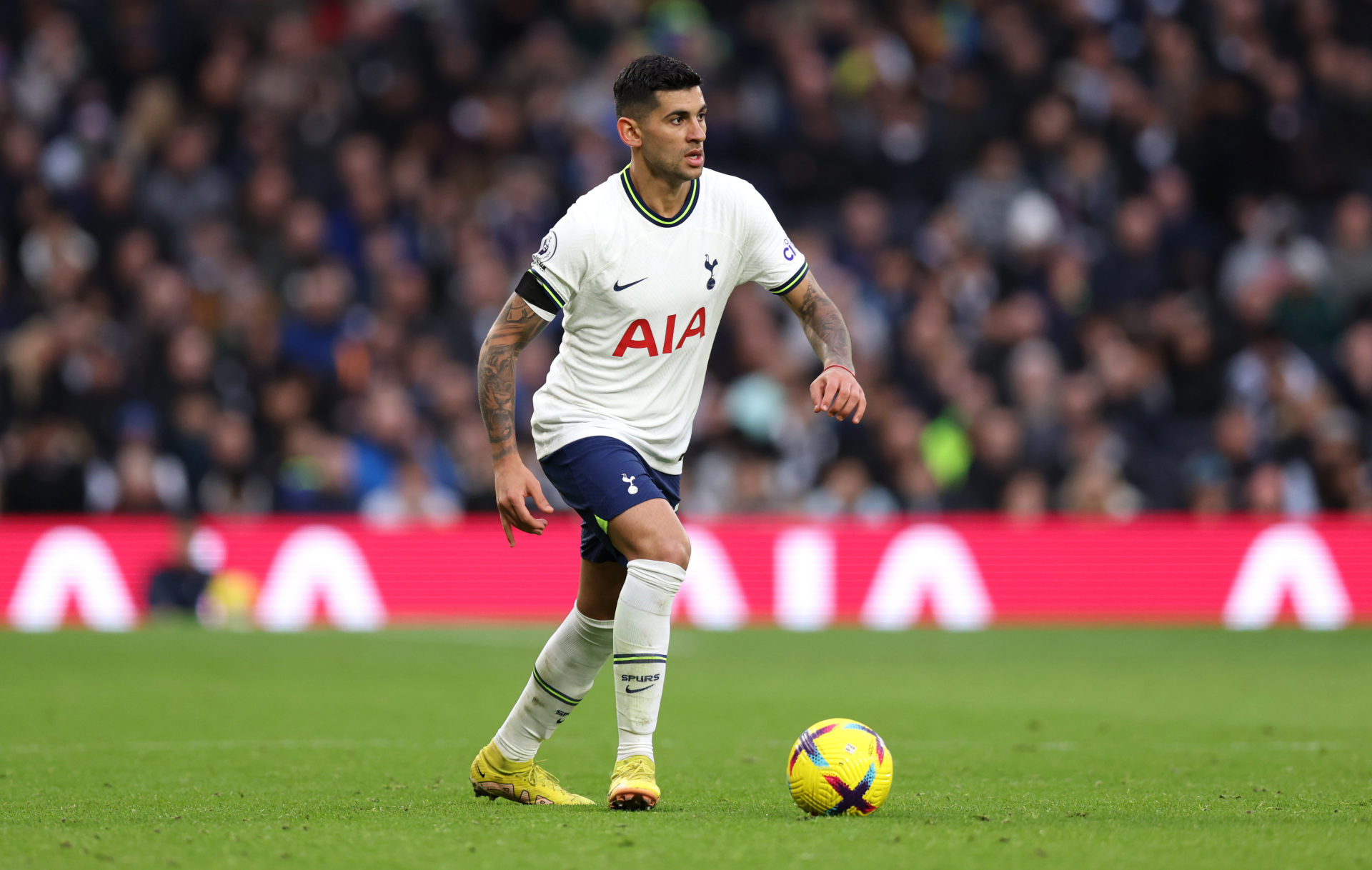 Photo by Tottenham Hotspur FC/Tottenham Hotspur FC via Getty Images