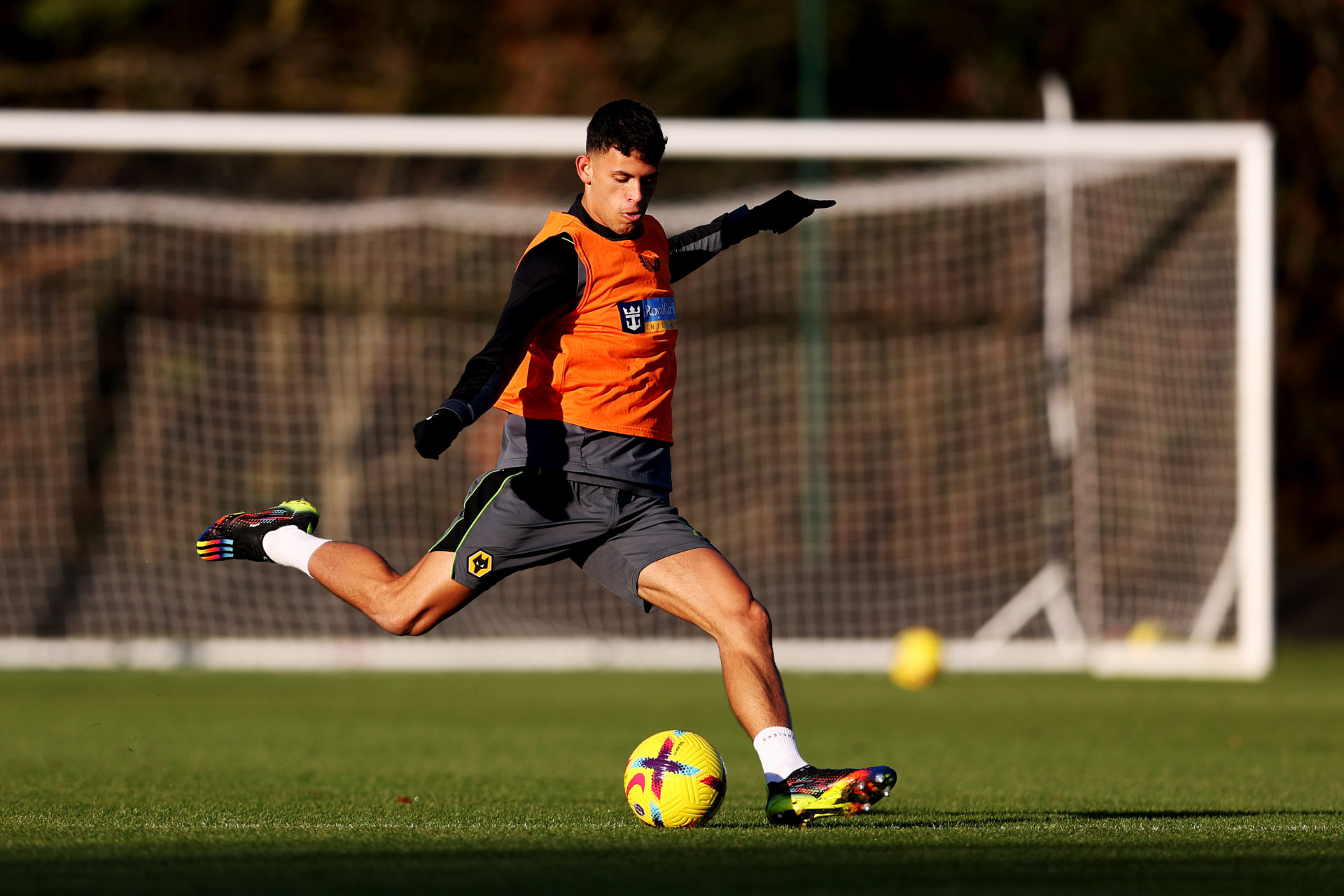 Photo by Jack Thomas - WWFC/Wolves via Getty Images