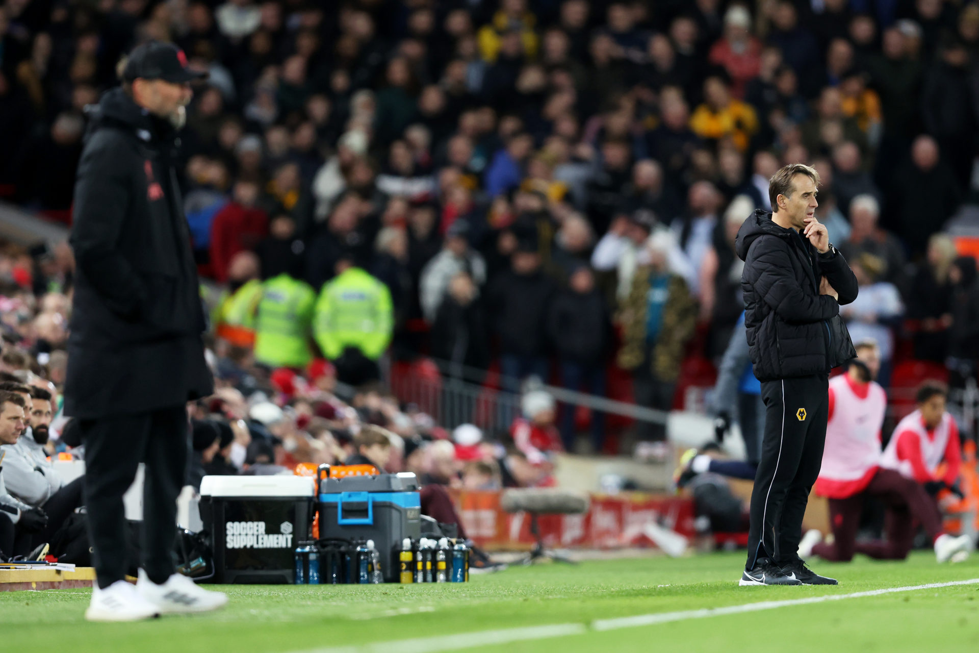 Photo by Jack Thomas - WWFC/Wolves via Getty Images