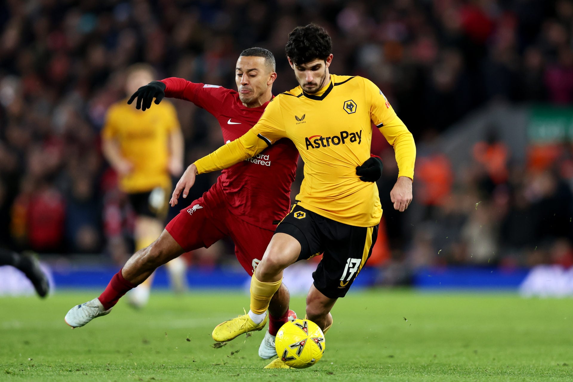 Photo by Jack Thomas - WWFC/Wolves via Getty Images