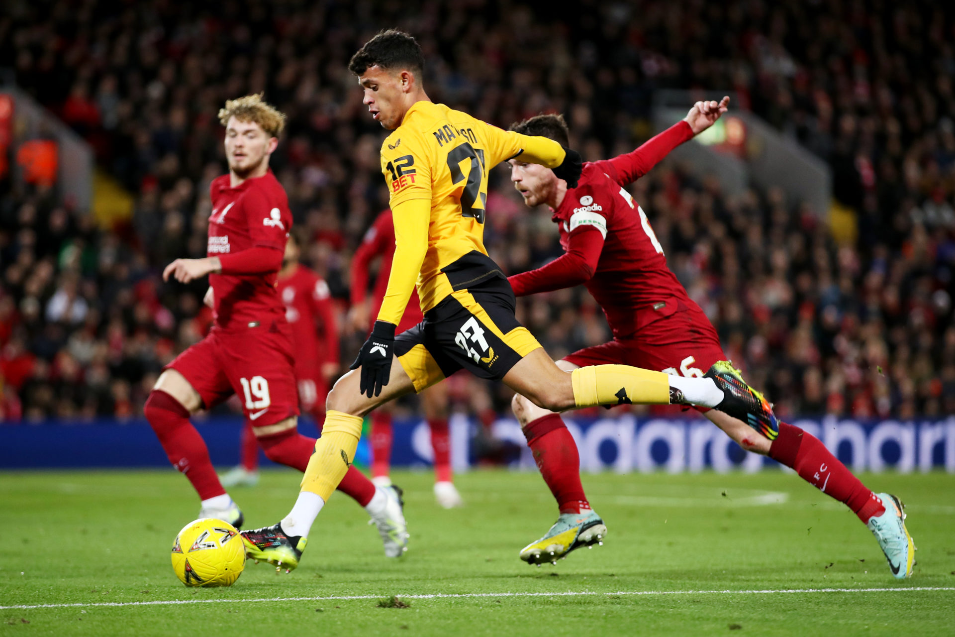 Photo by Jack Thomas - WWFC/Wolves via Getty Images