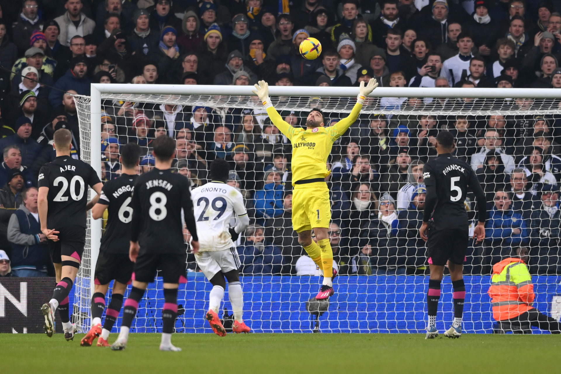 Photo by Stu Forster/Getty Images