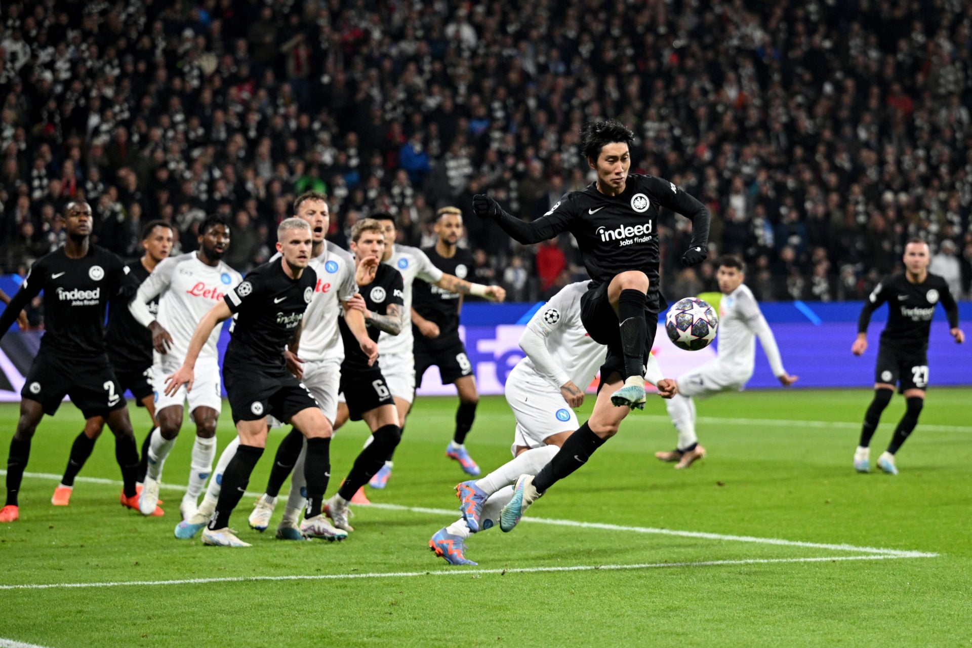 Photo by Harry Langer/DeFodi Images via Getty Images