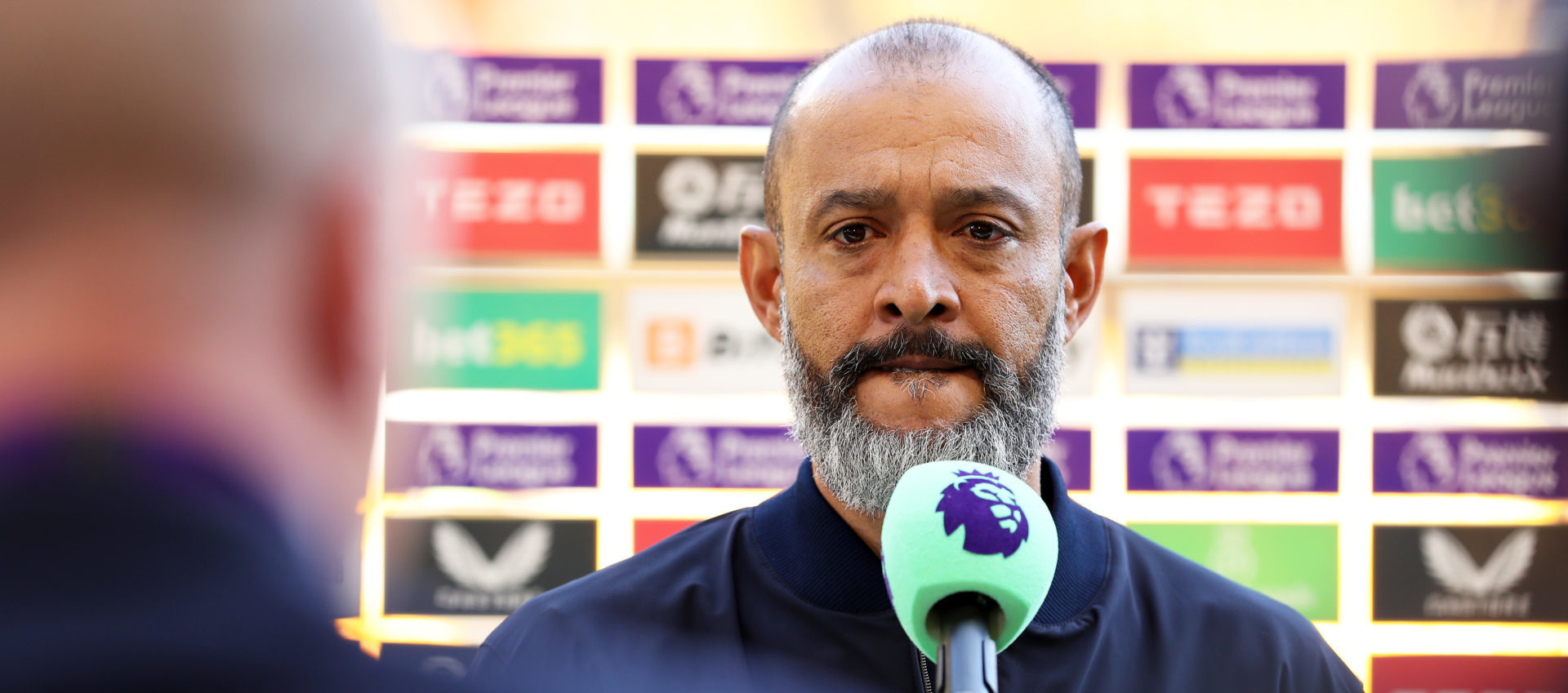 Photo by Jack Thomas - WWFC/Wolves via Getty Images