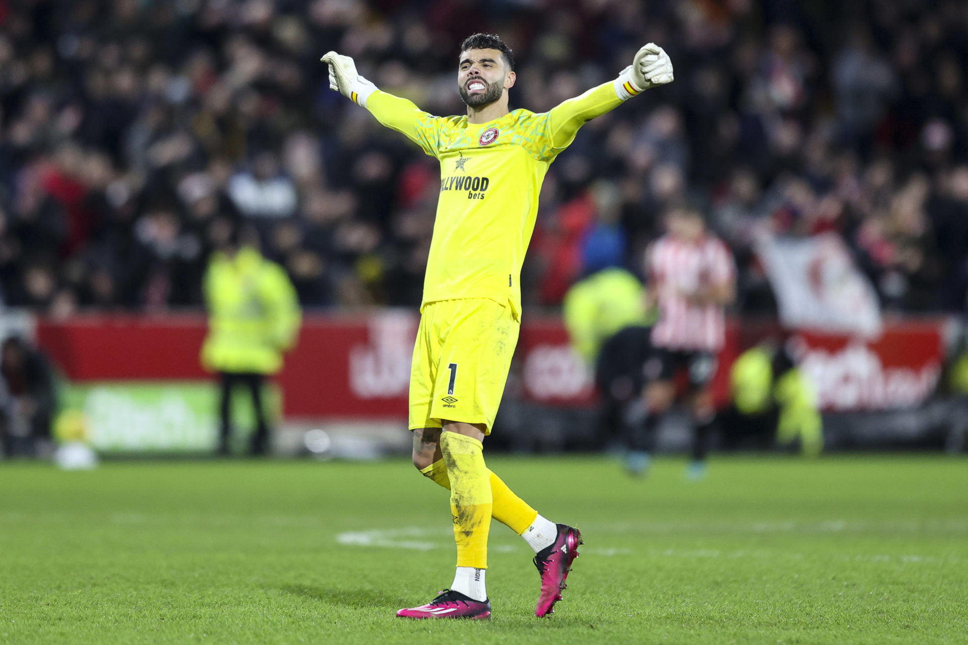 Photo by Robin Jones - AFC Bournemouth/AFC Bournemouth via Getty Images