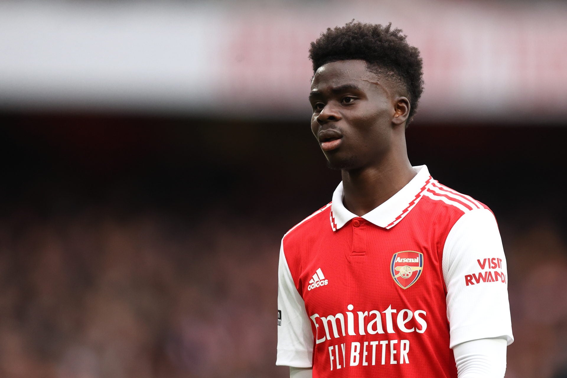 Photo by James Williamson - AMA/Getty Images