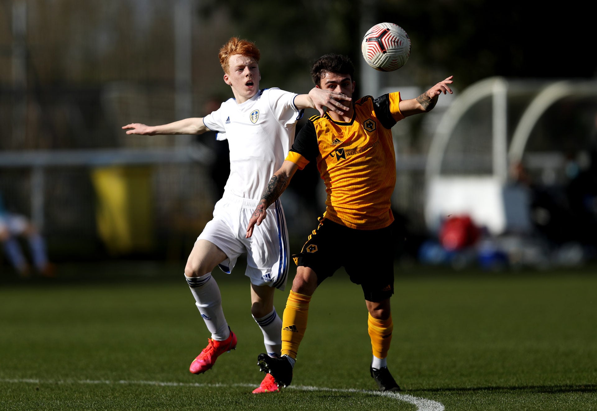 Photo by Jack Thomas - WWFC/Wolves via Getty Images