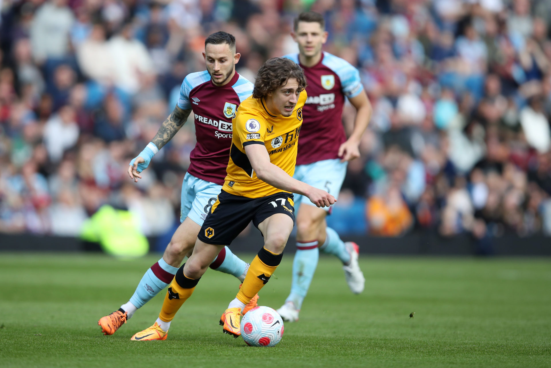 Photo by Jack Thomas - WWFC/Wolves via Getty Images