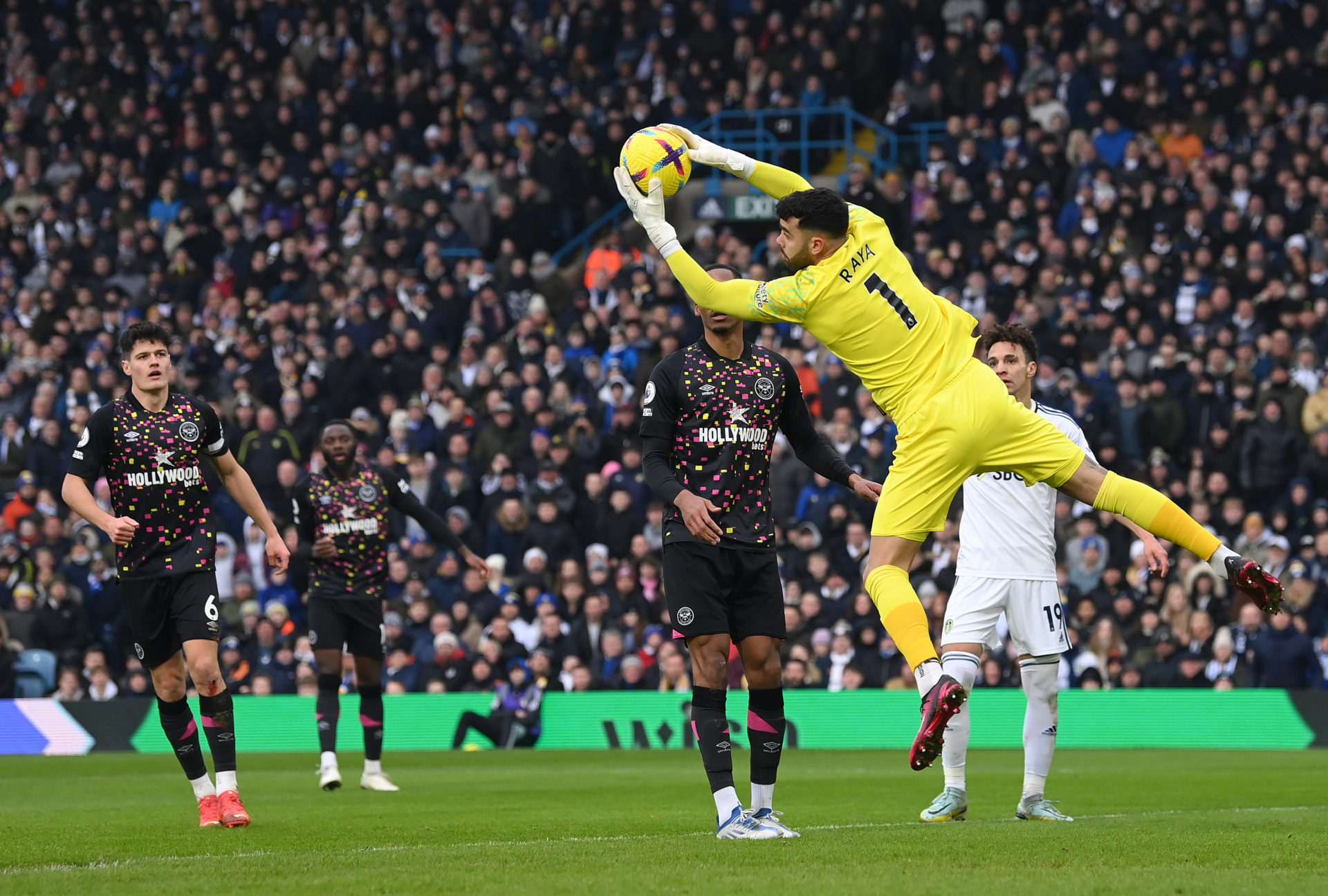 Photo by Stu Forster/Getty Images